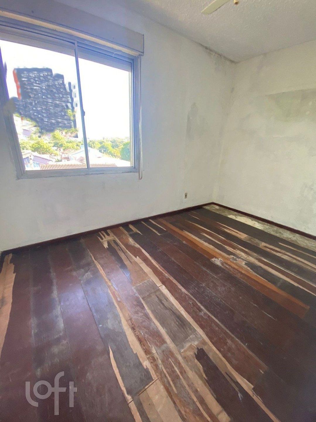 Imagem da propriedade 9