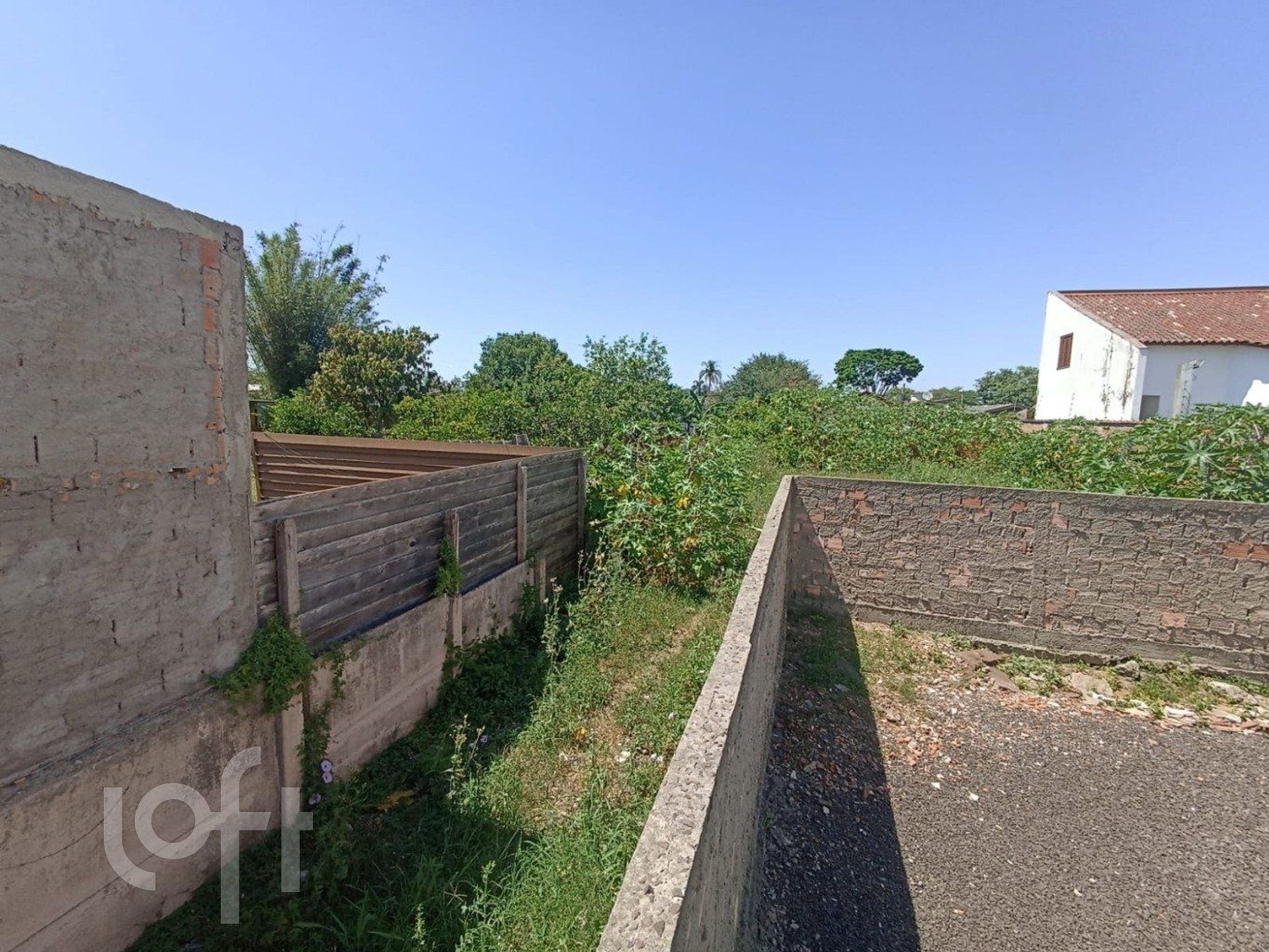 Imagem da propriedade 33