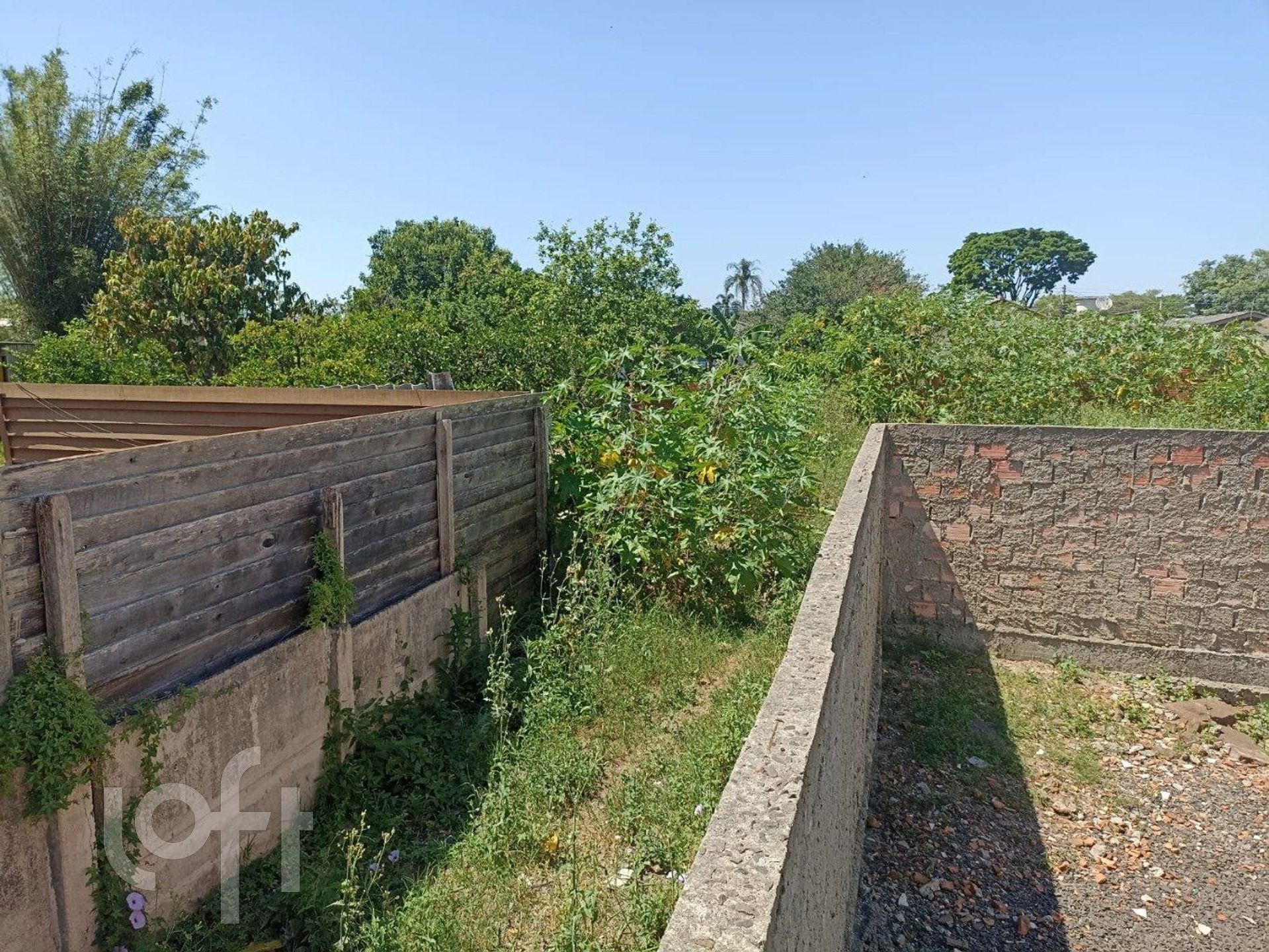 Imagem da propriedade 35