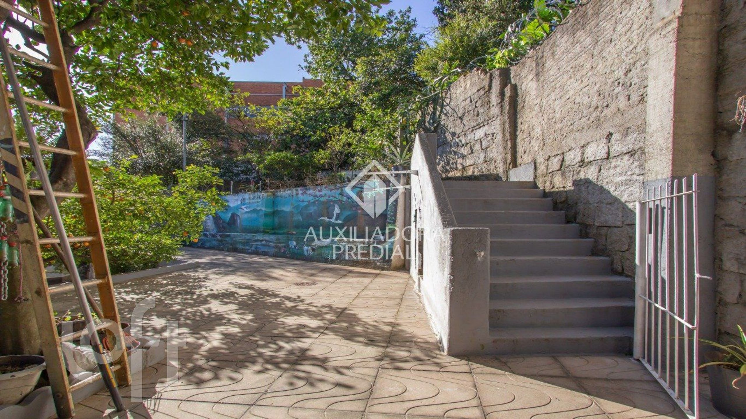 Imagem da propriedade 39