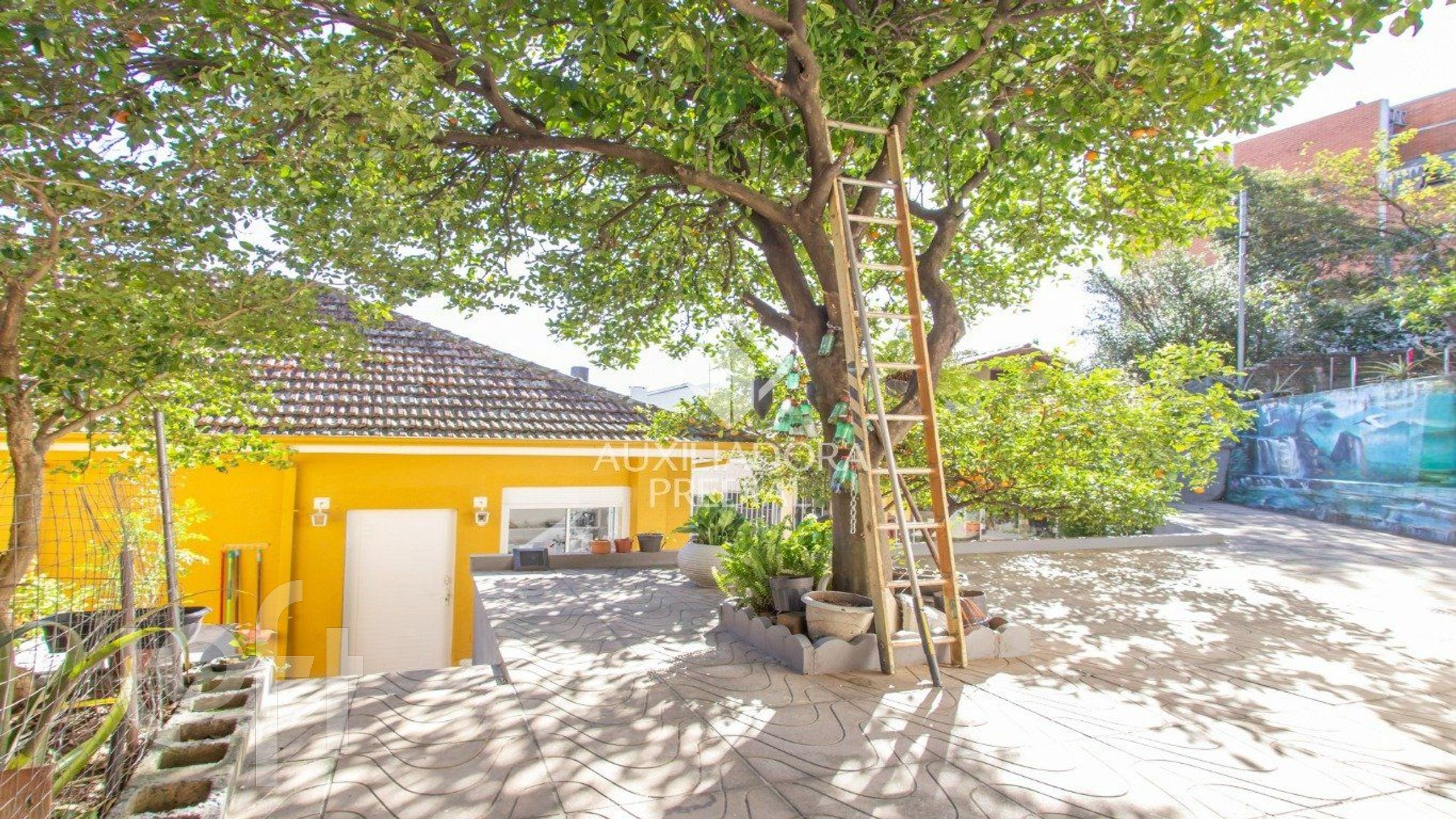 Imagem da propriedade 36