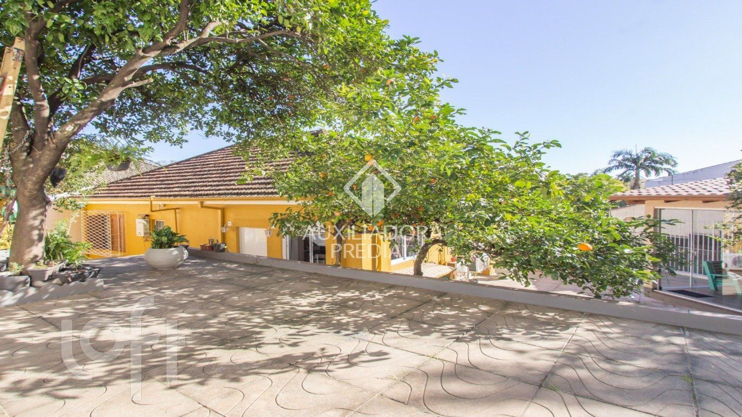 Imagem da propriedade 37