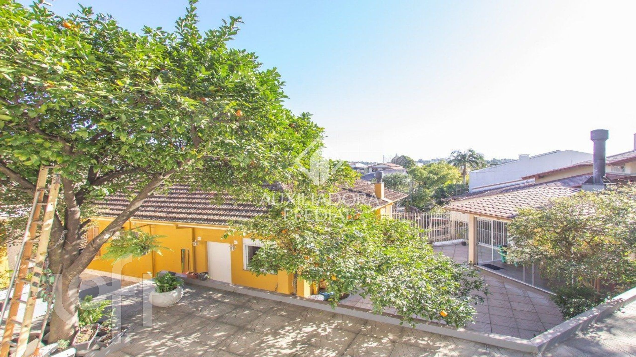 Imagem da propriedade 38