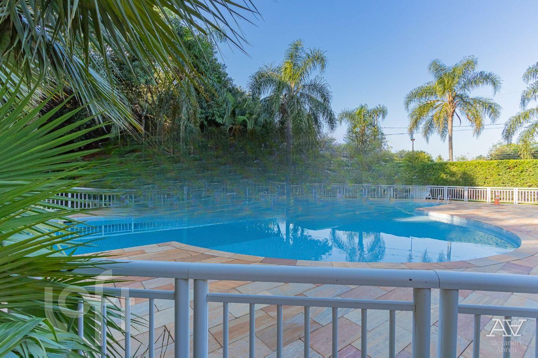 Imagem da propriedade 46