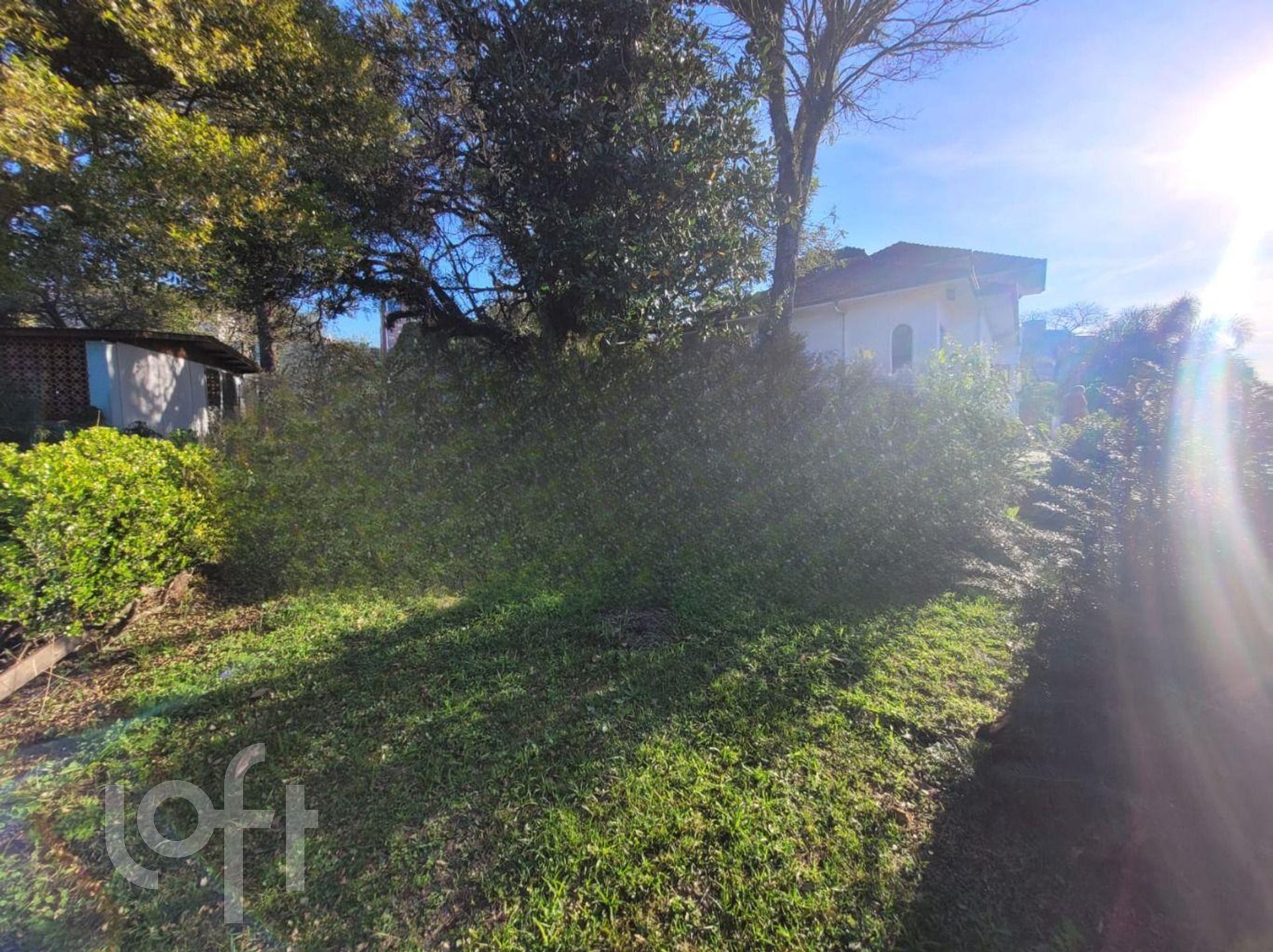 Imagem da propriedade 27