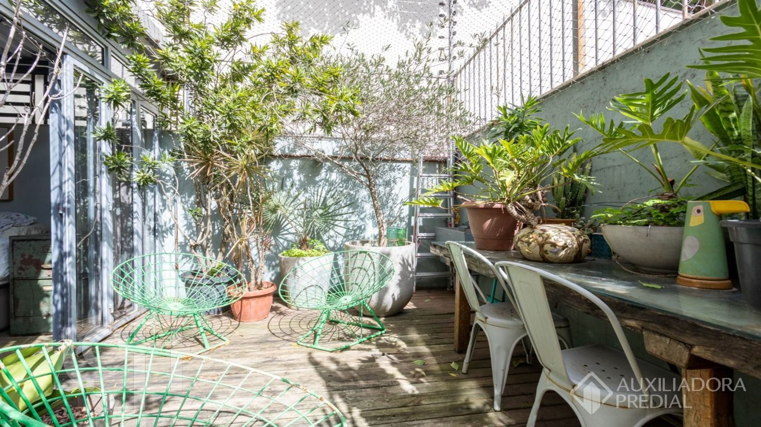 Imagem da propriedade 36