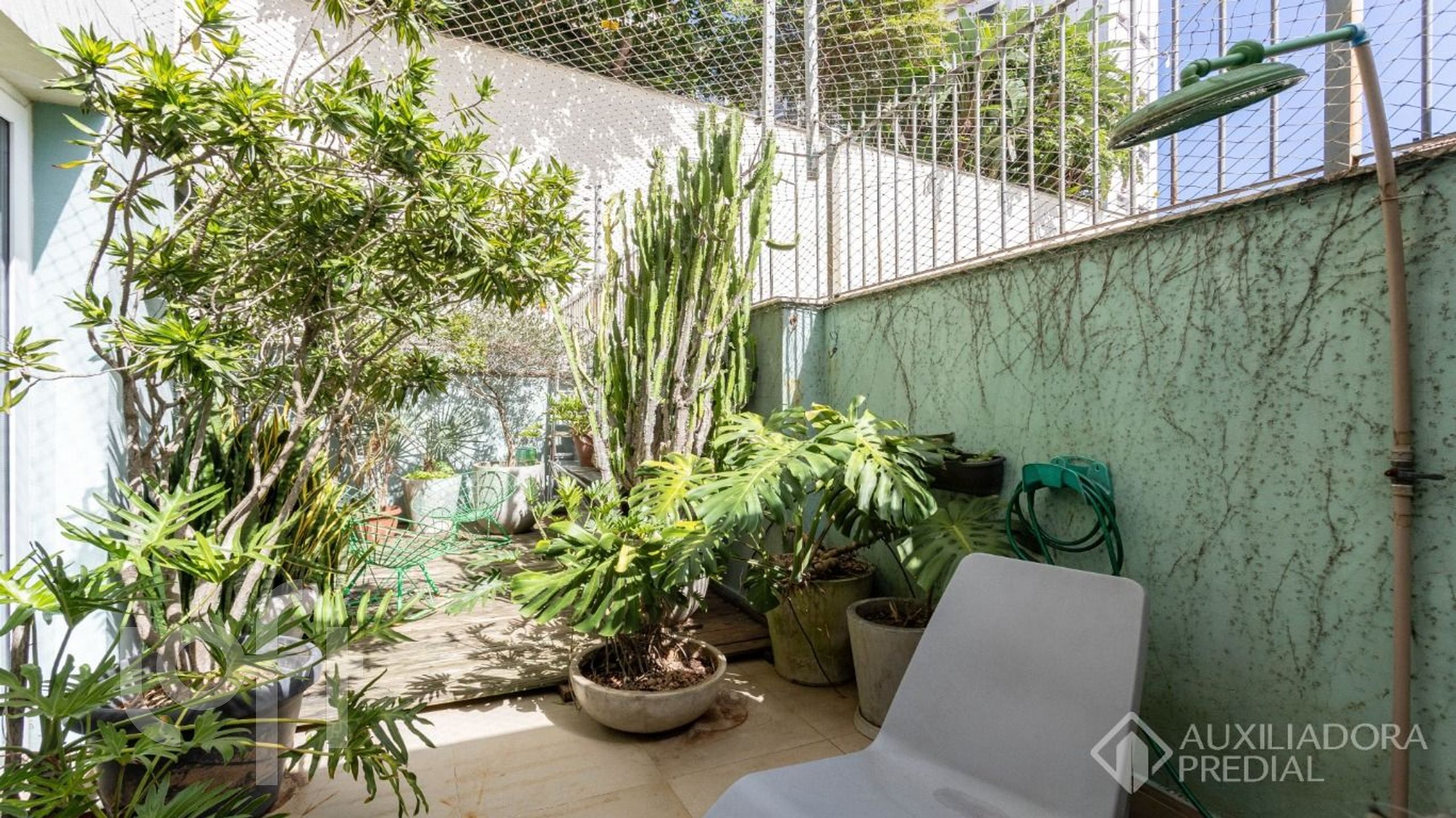 Imagem da propriedade 35