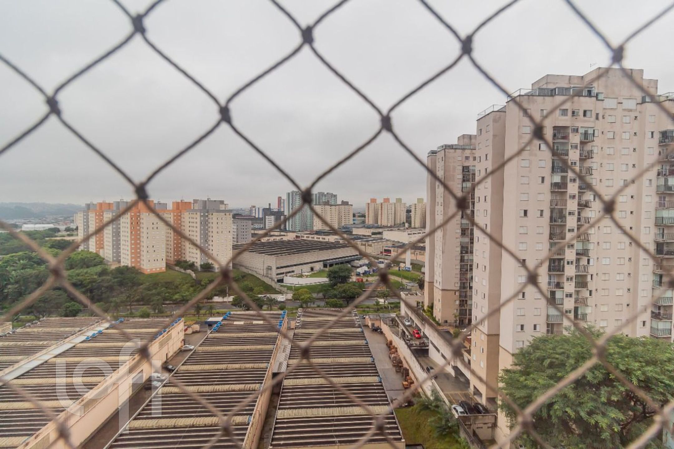 Imagem da propriedade 9
