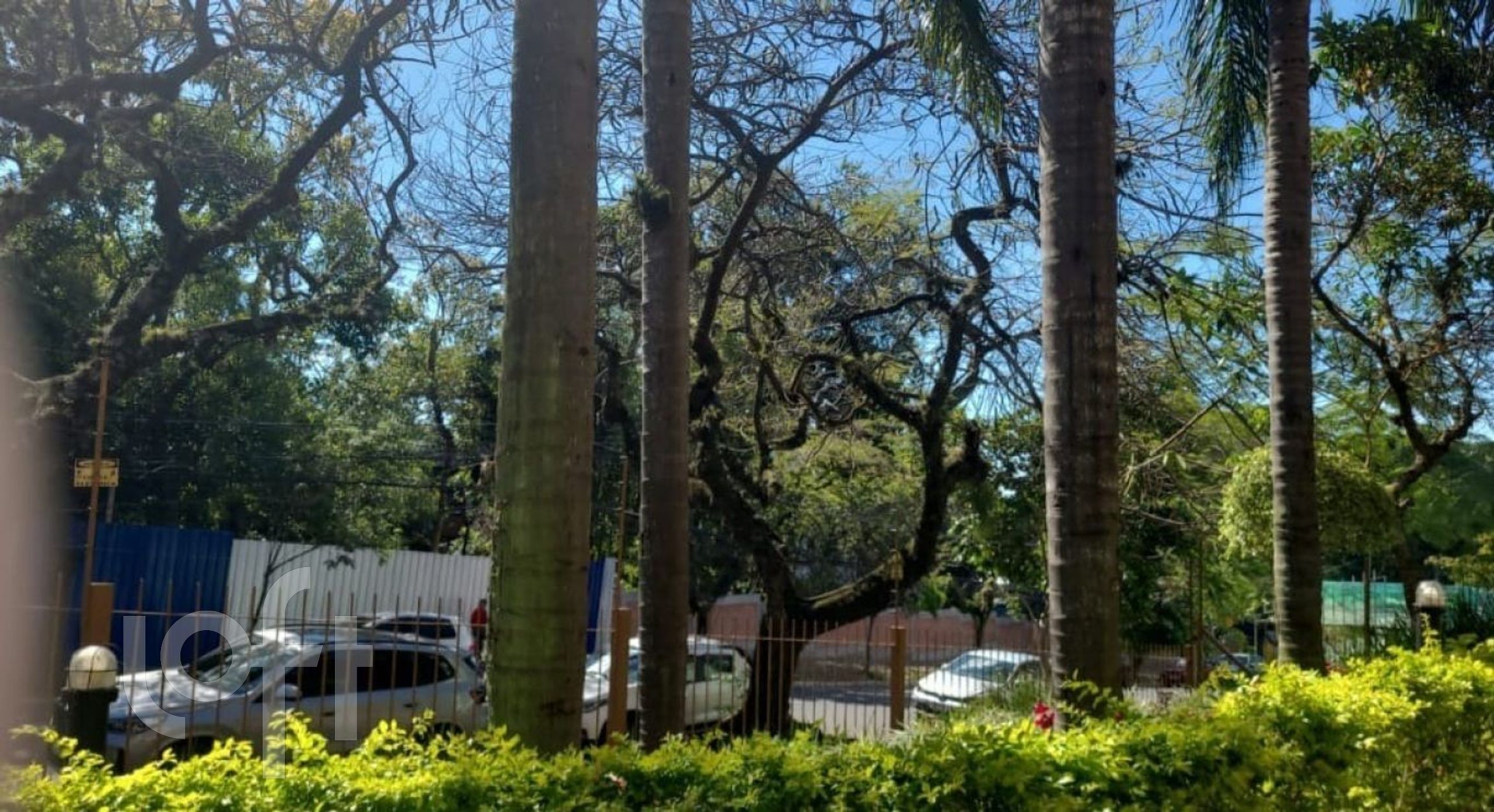 Imagem da propriedade 39