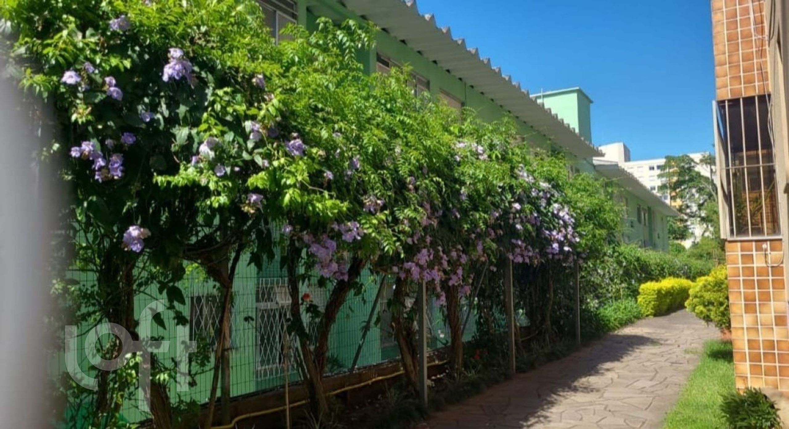 Imagem da propriedade 35