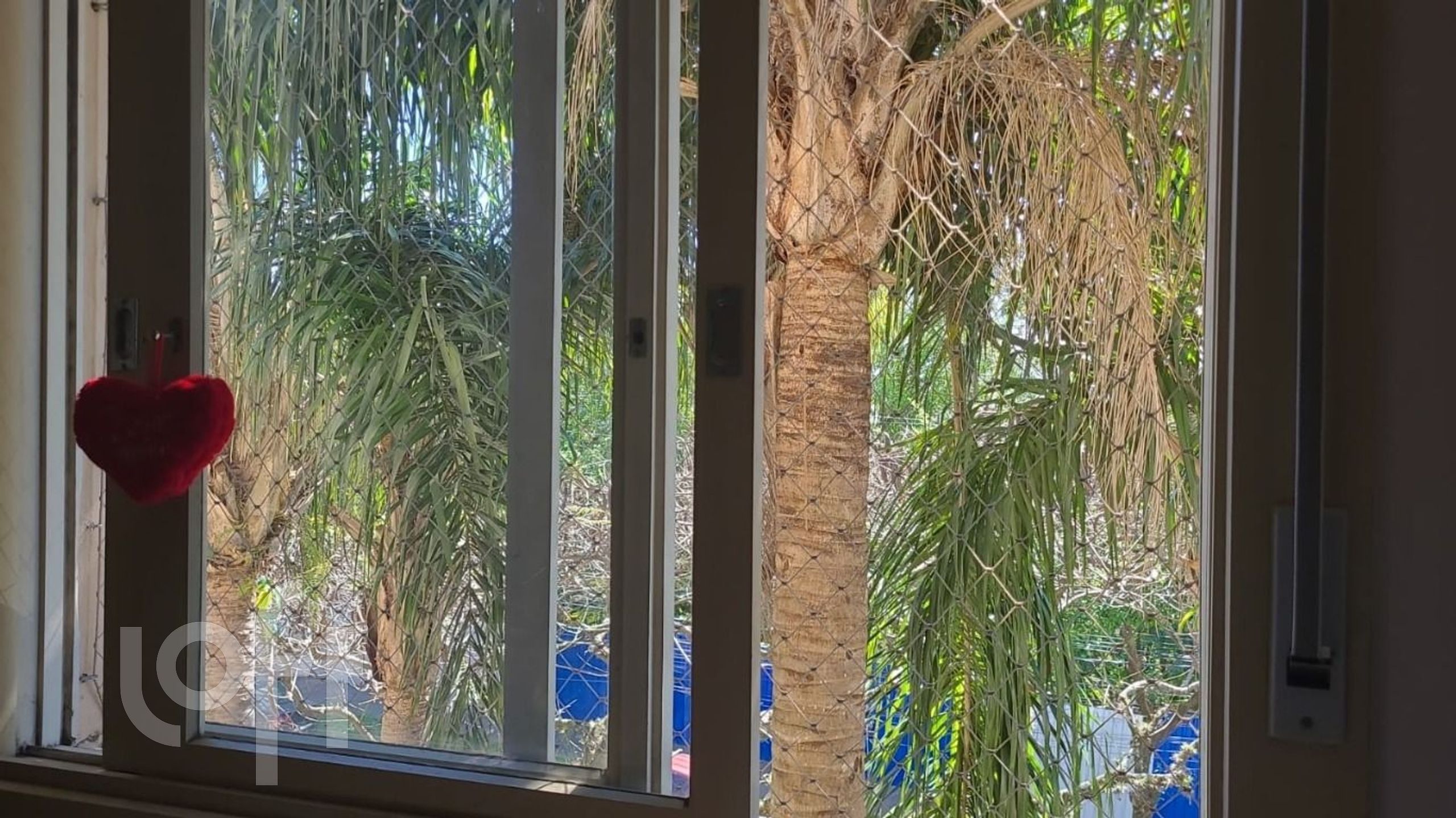 Imagem da propriedade 16