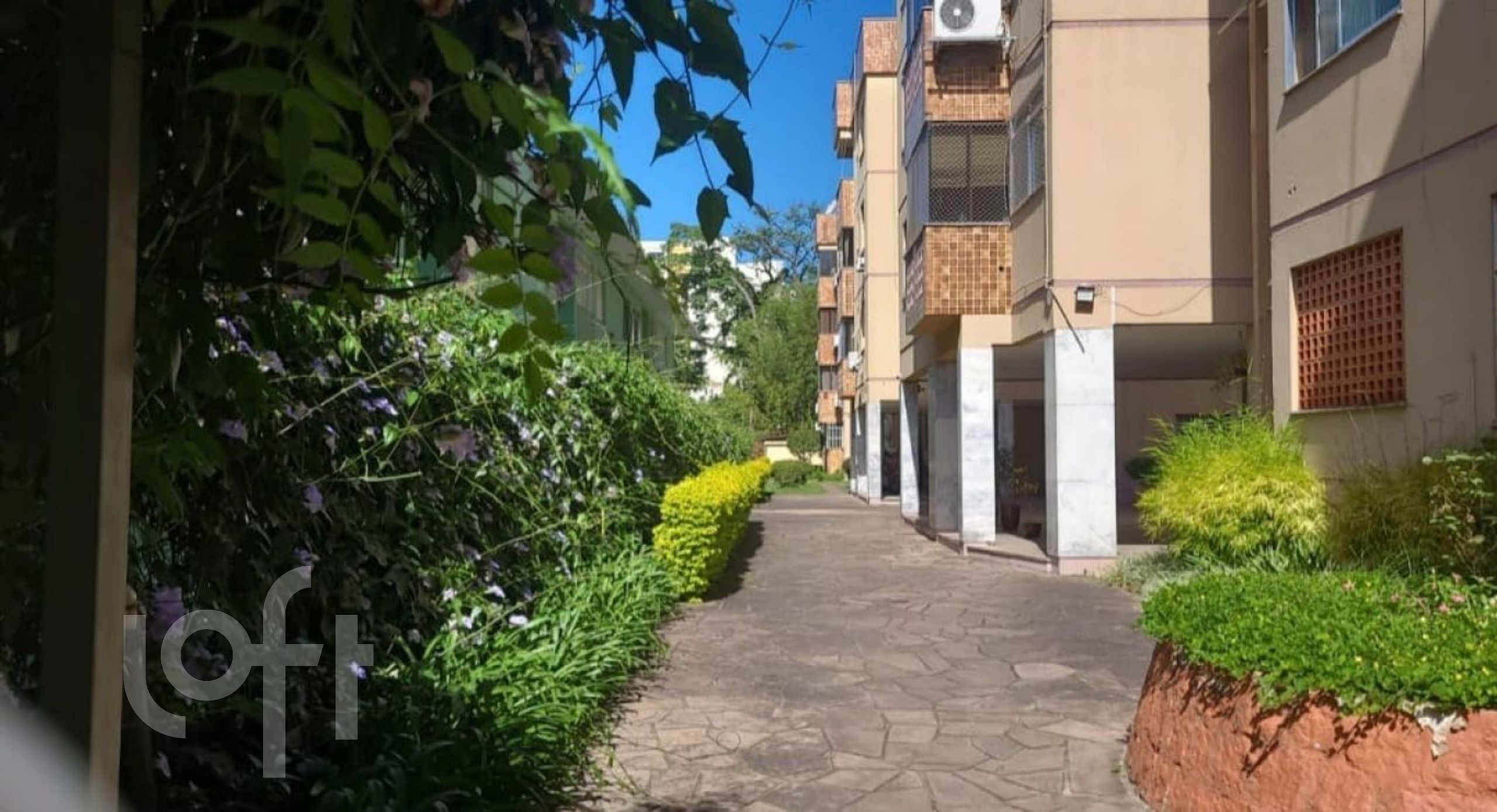 Imagem da propriedade 33