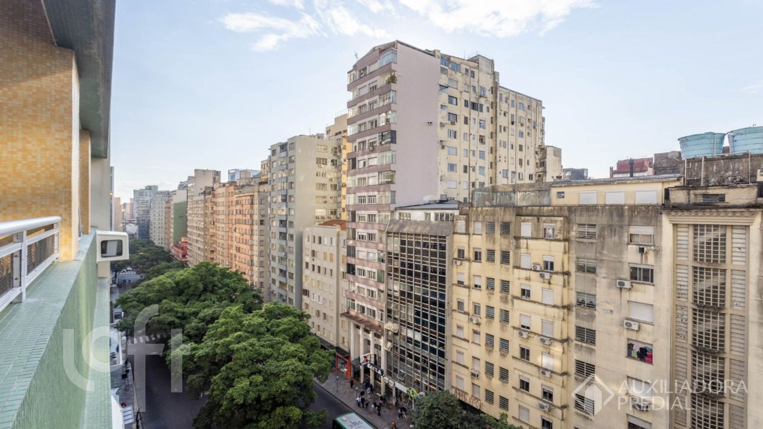 Imagem da propriedade 11