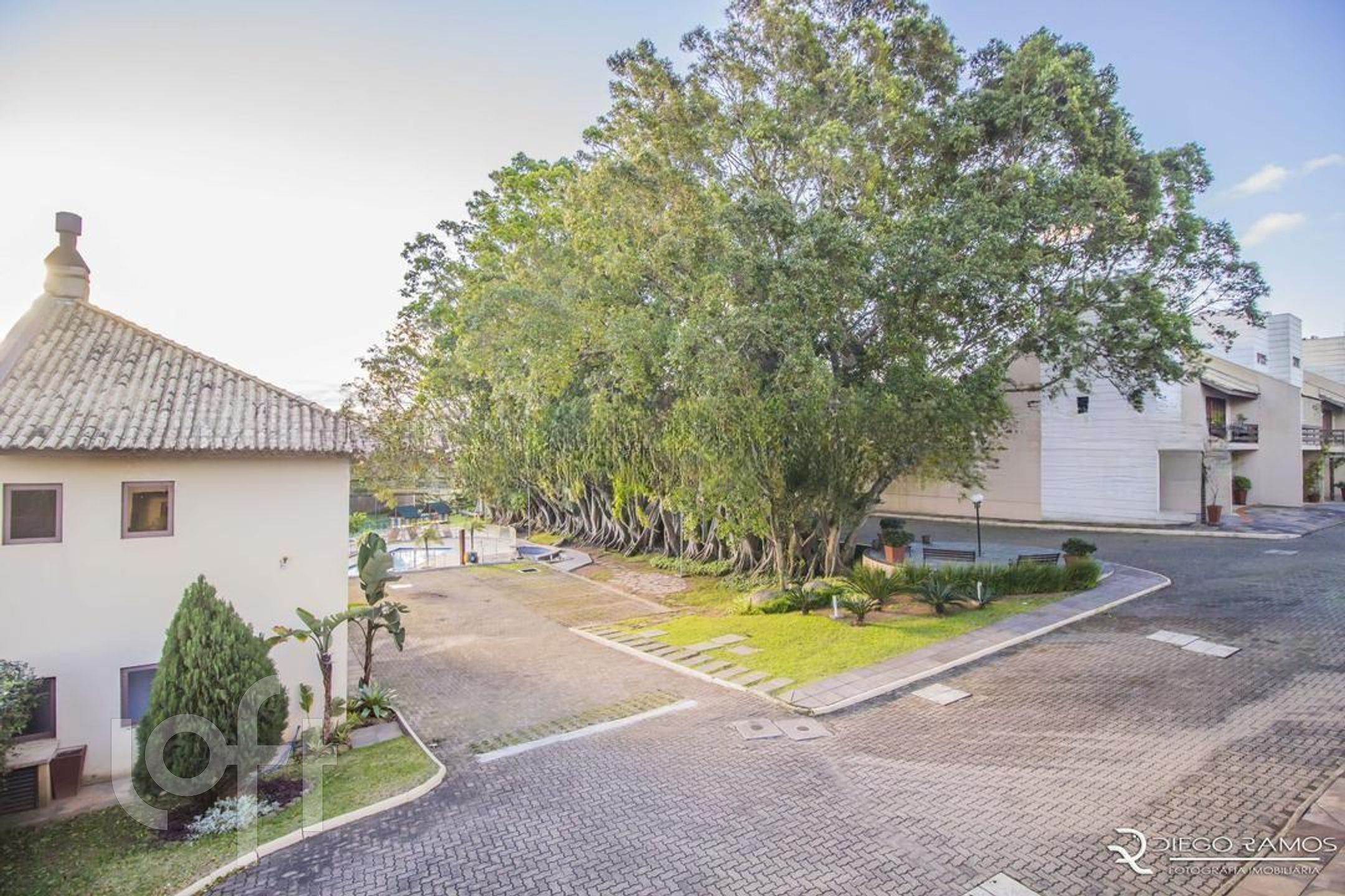 Imagem da propriedade 21