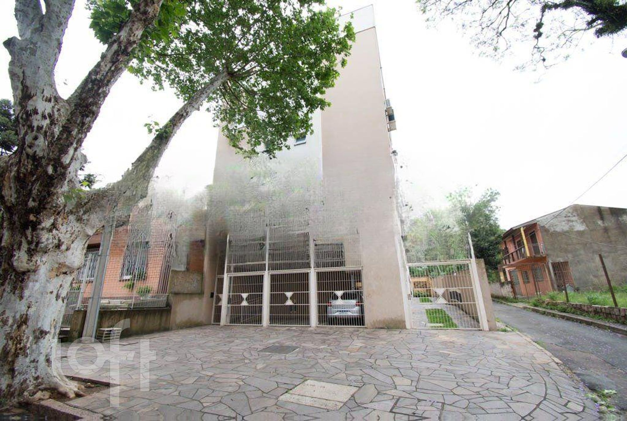 Imagem da propriedade 3