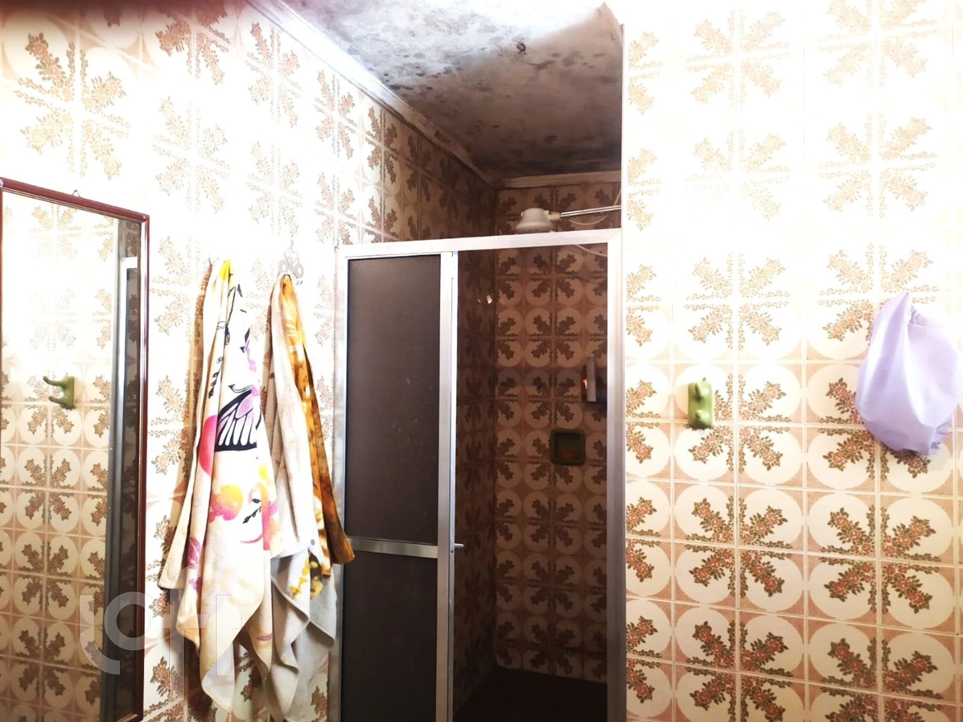 Imagem da propriedade 7