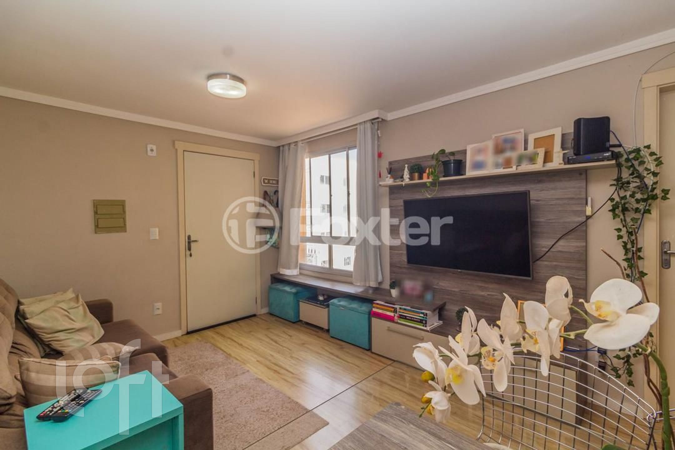 Imagem da propriedade 5