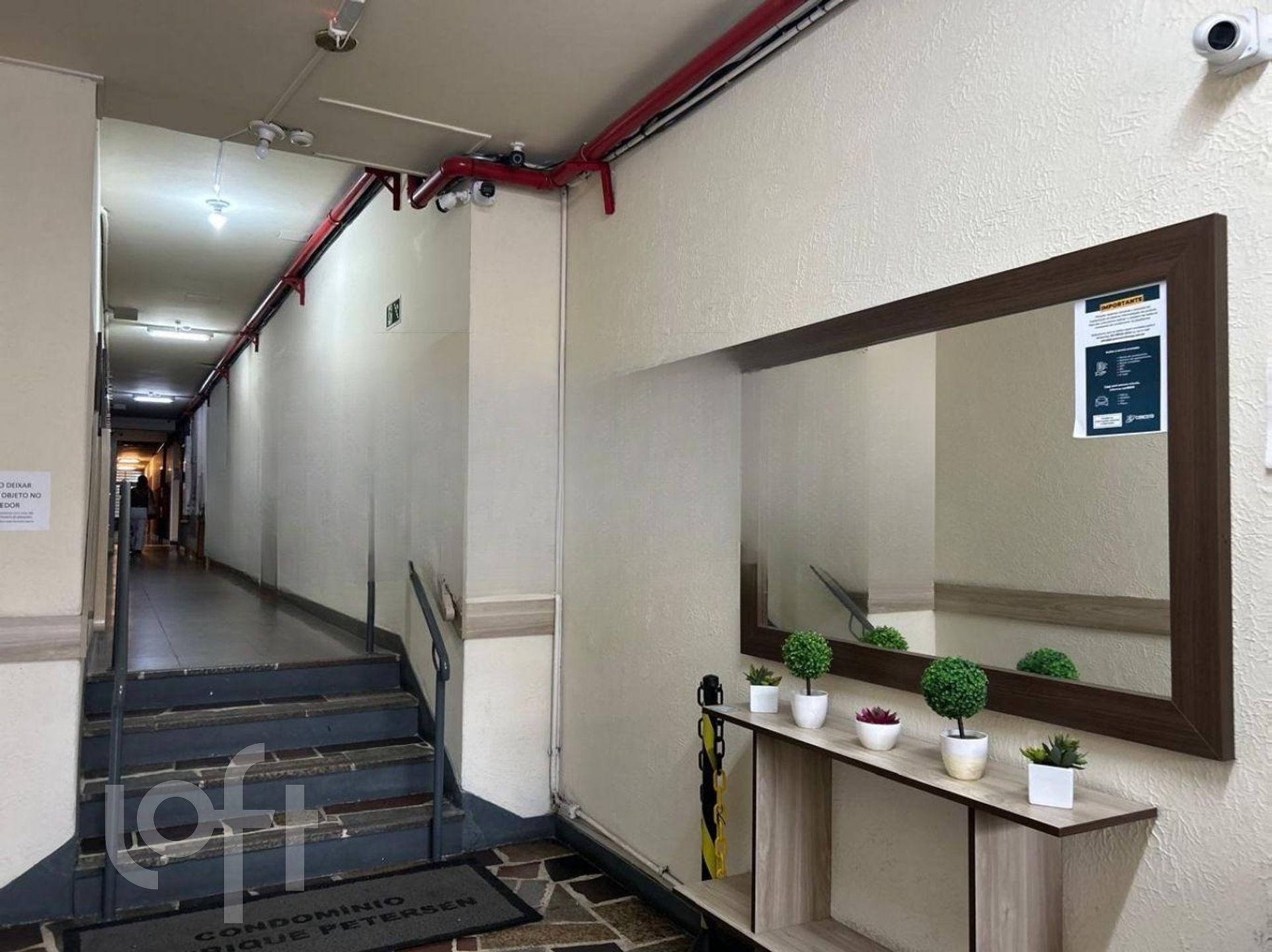 Imagem da propriedade 12