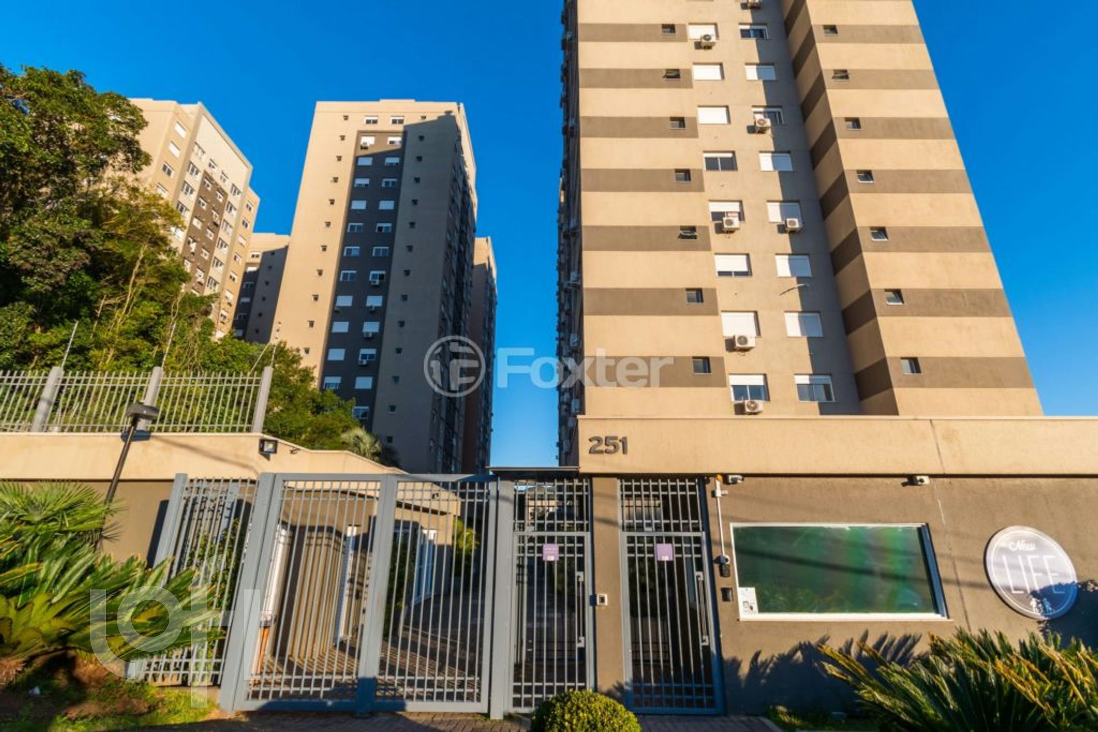 Imagem da propriedade 5