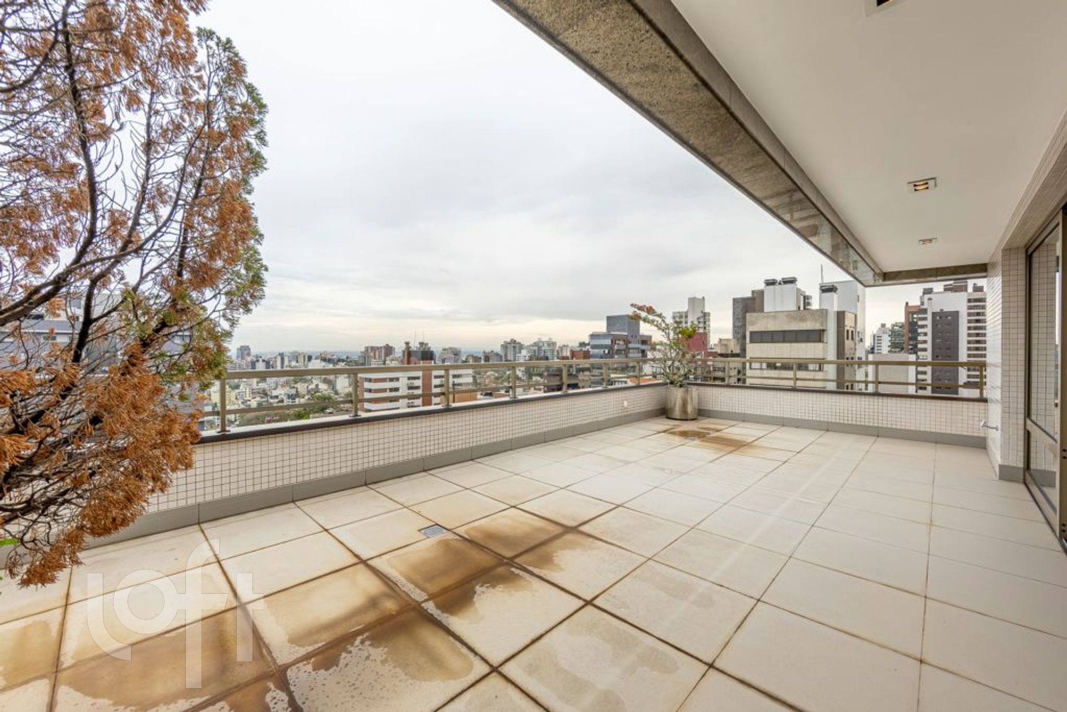 Imagem da propriedade 39