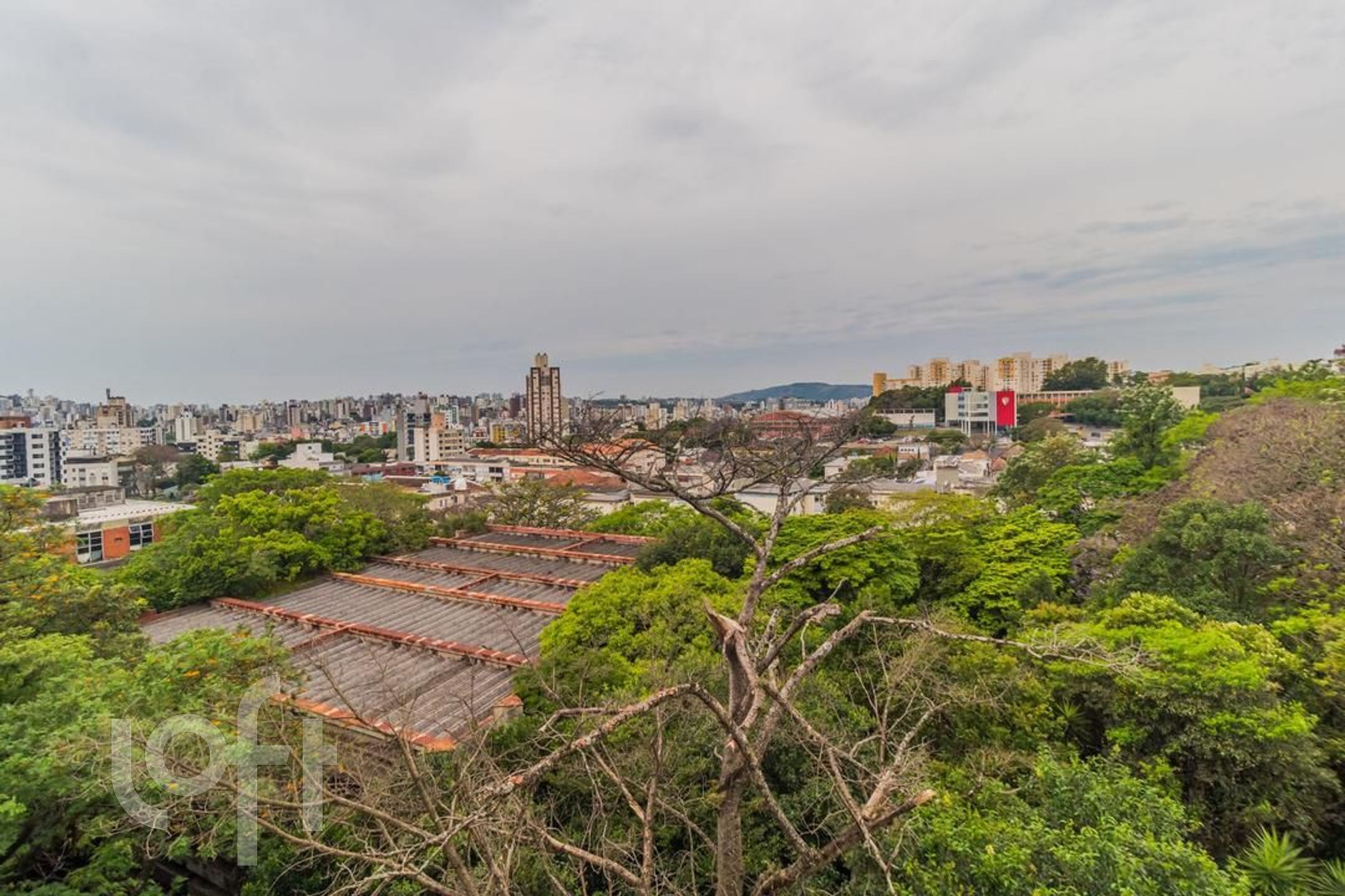 Imagem da propriedade 5