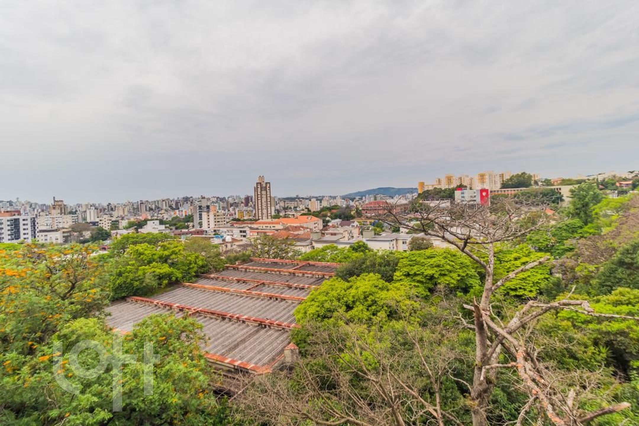 Imagem da propriedade 11