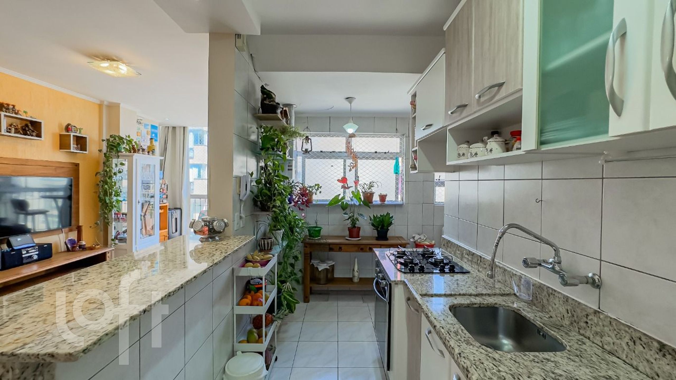 Imagem da propriedade 12