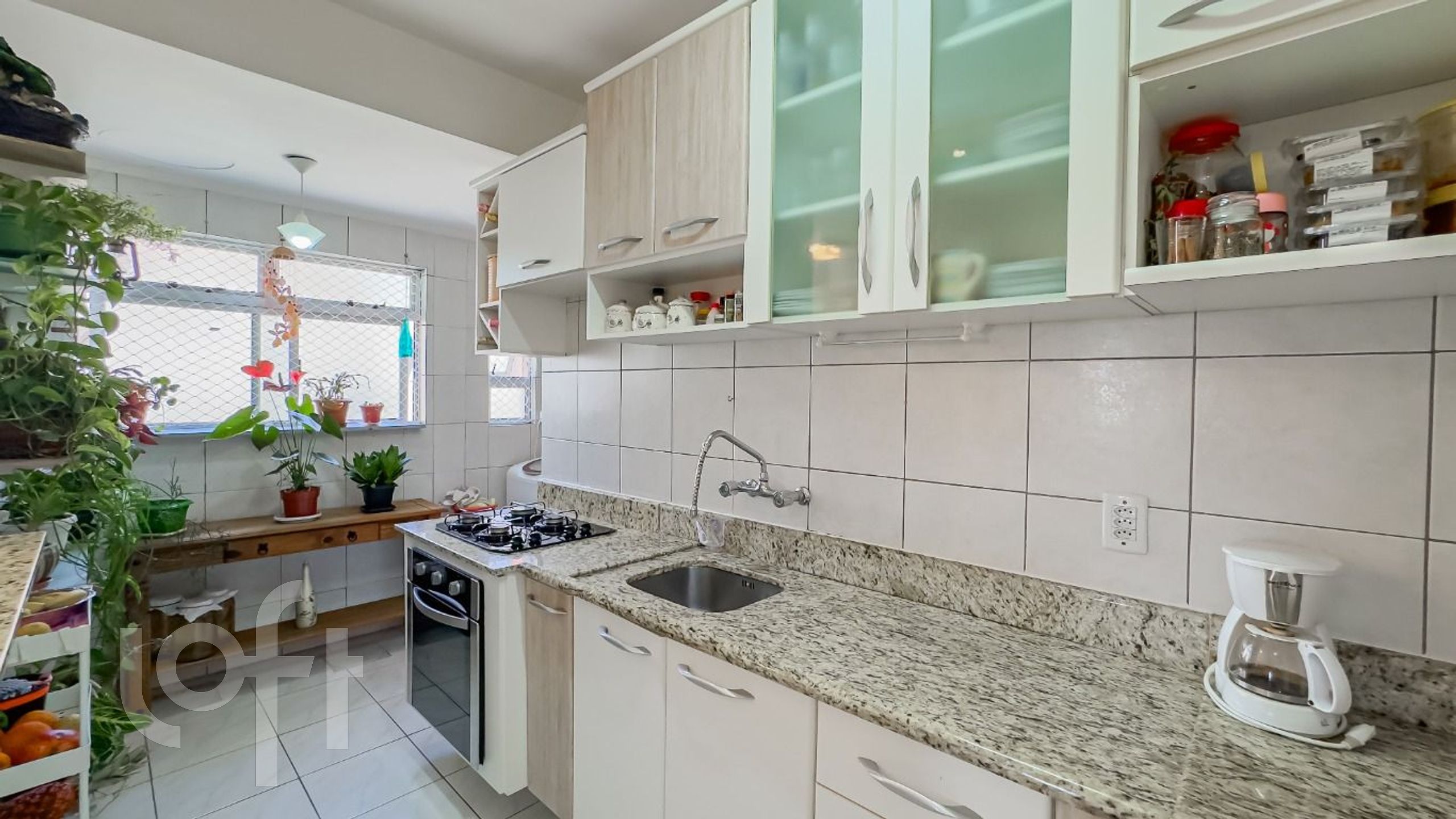 Imagem da propriedade 11