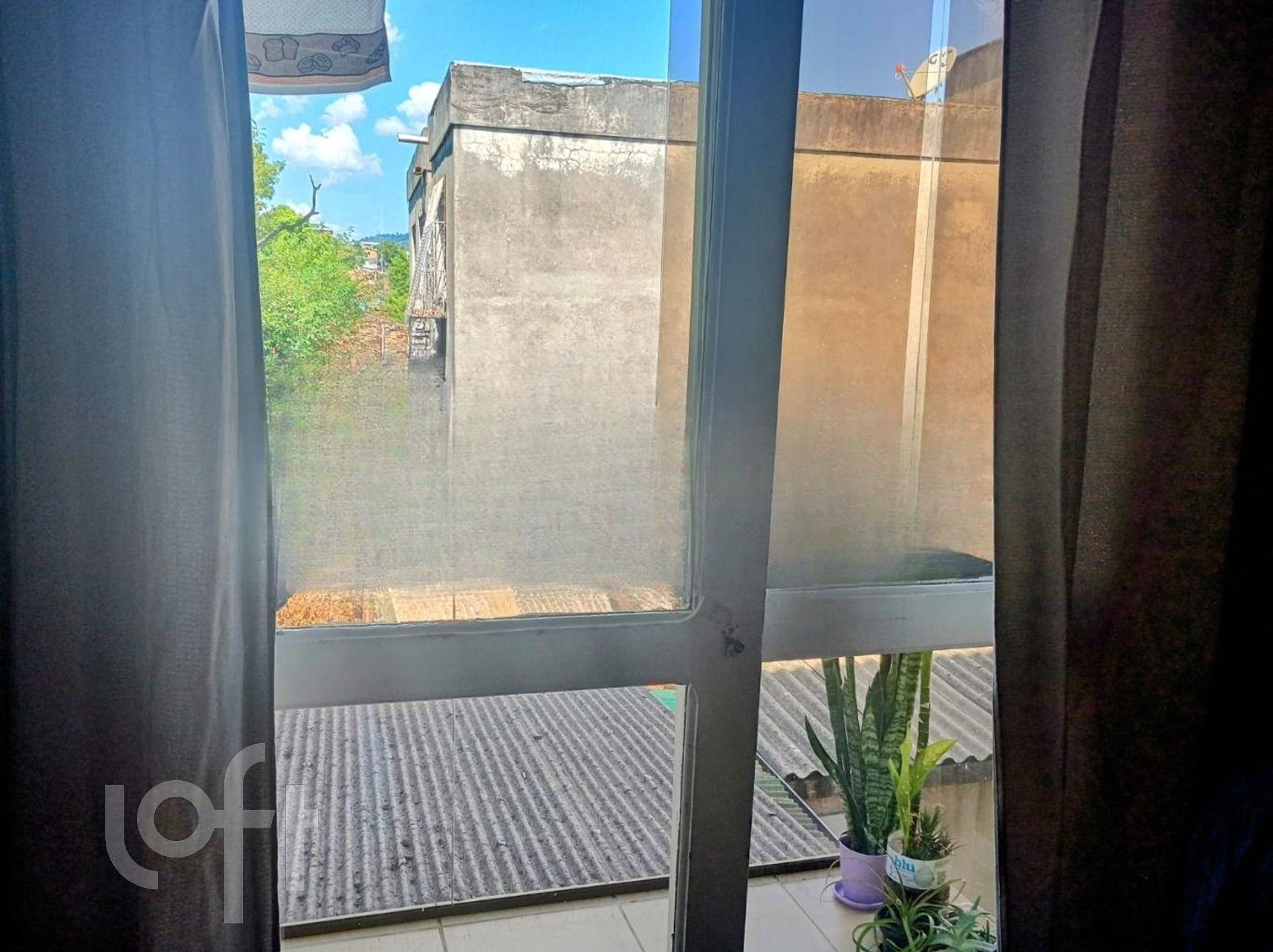 Imagem da propriedade 6