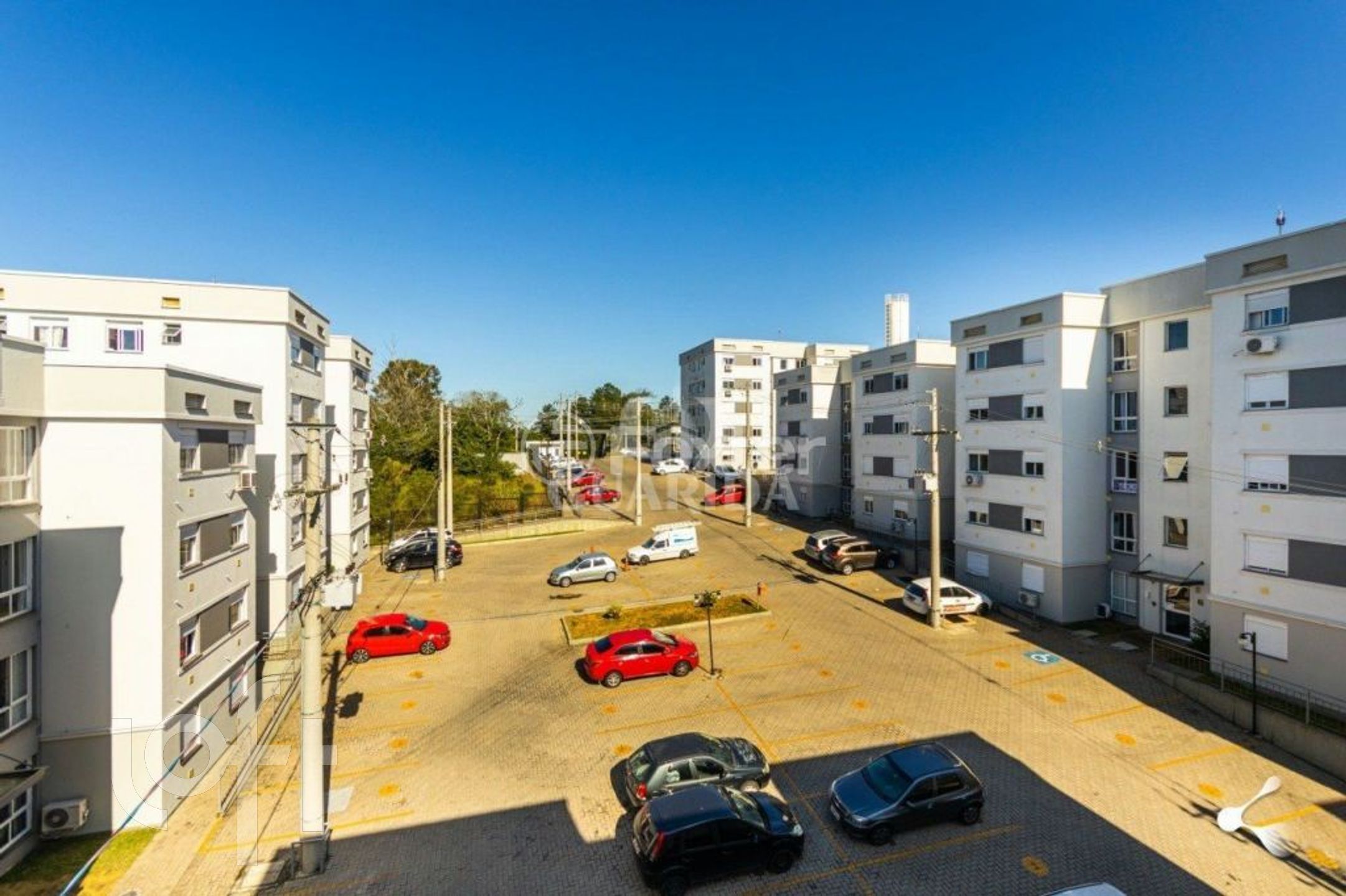 Imagem da propriedade 18