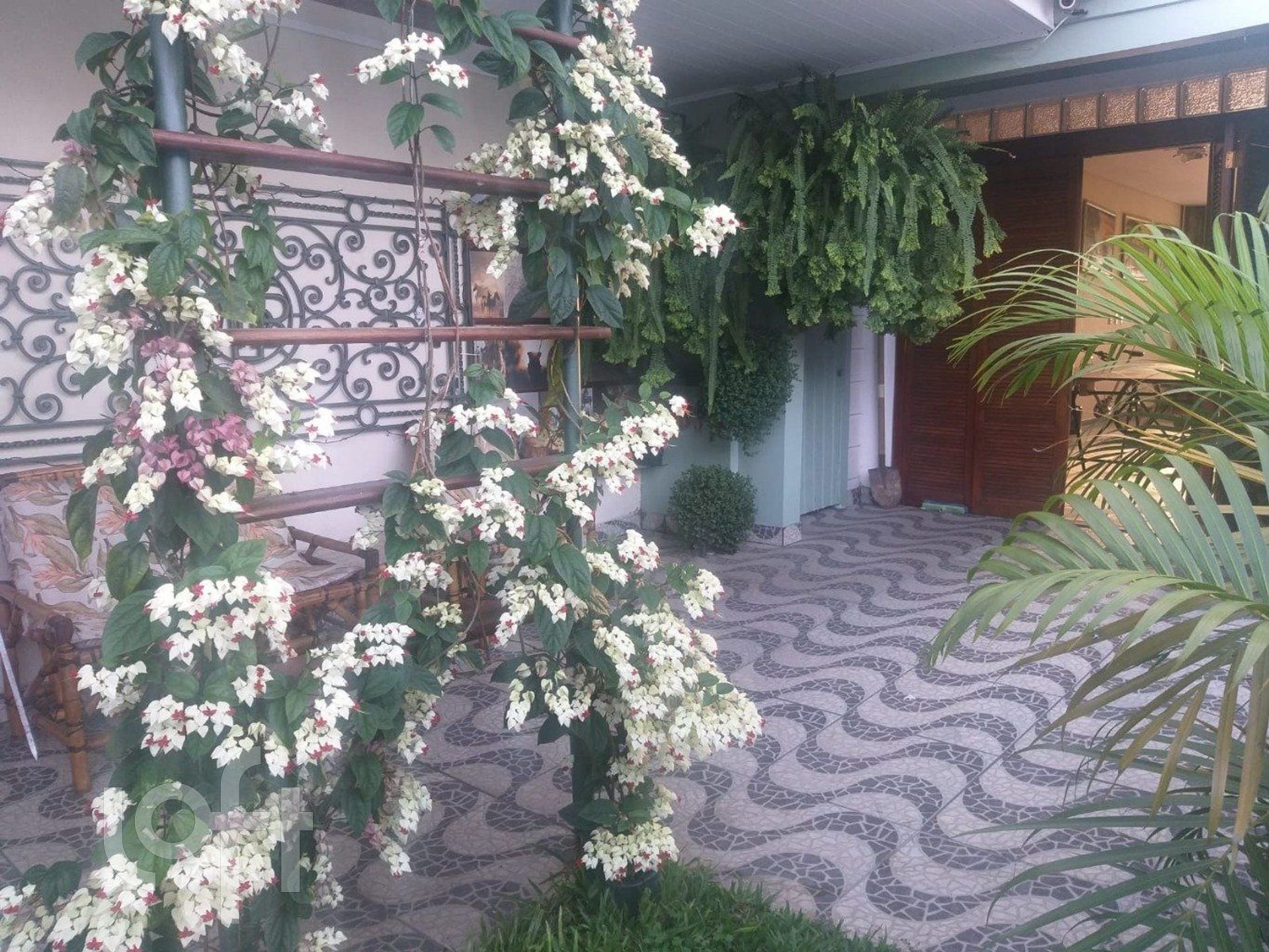 Imagem da propriedade 7