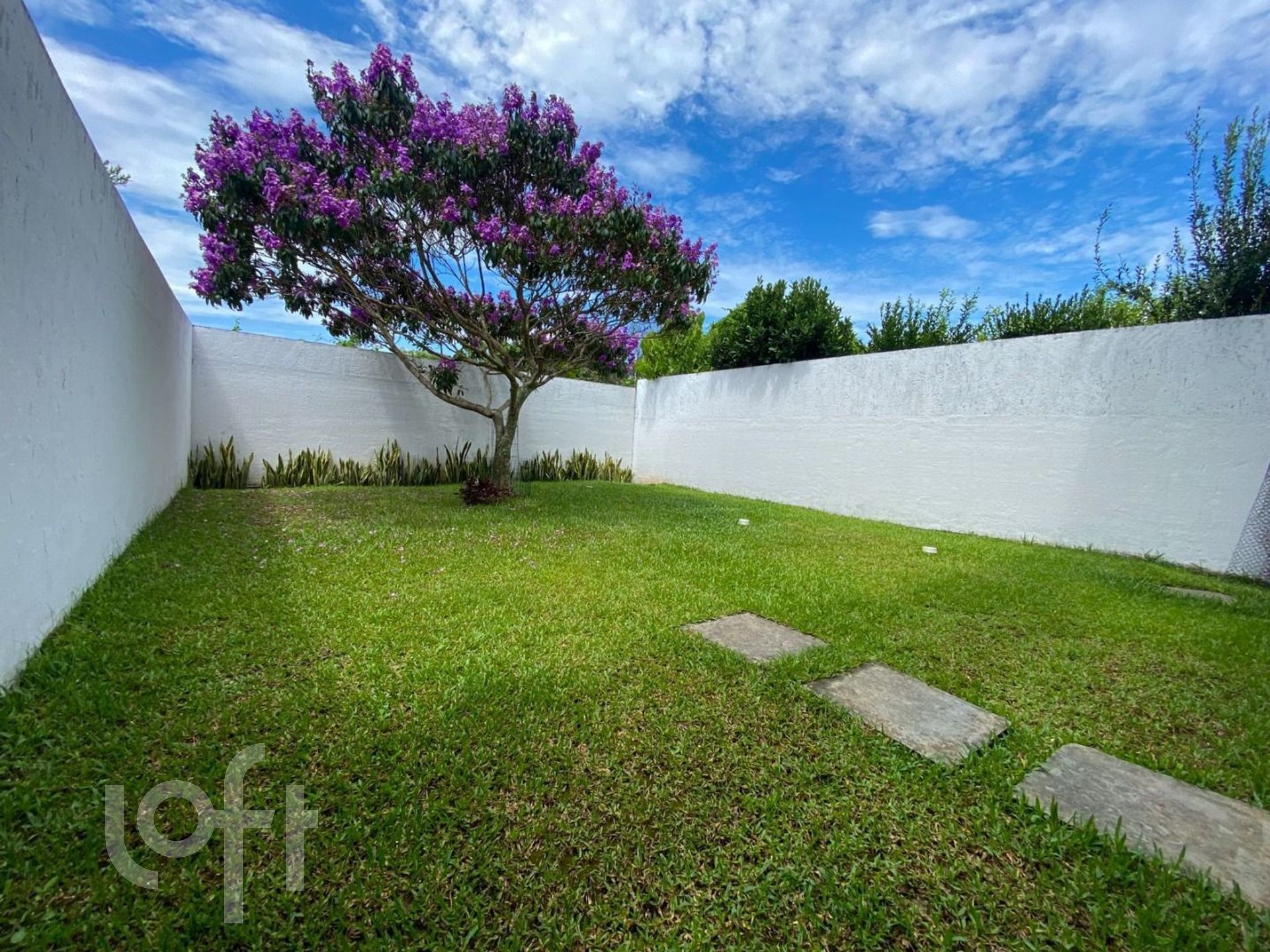 Imagem da propriedade 3