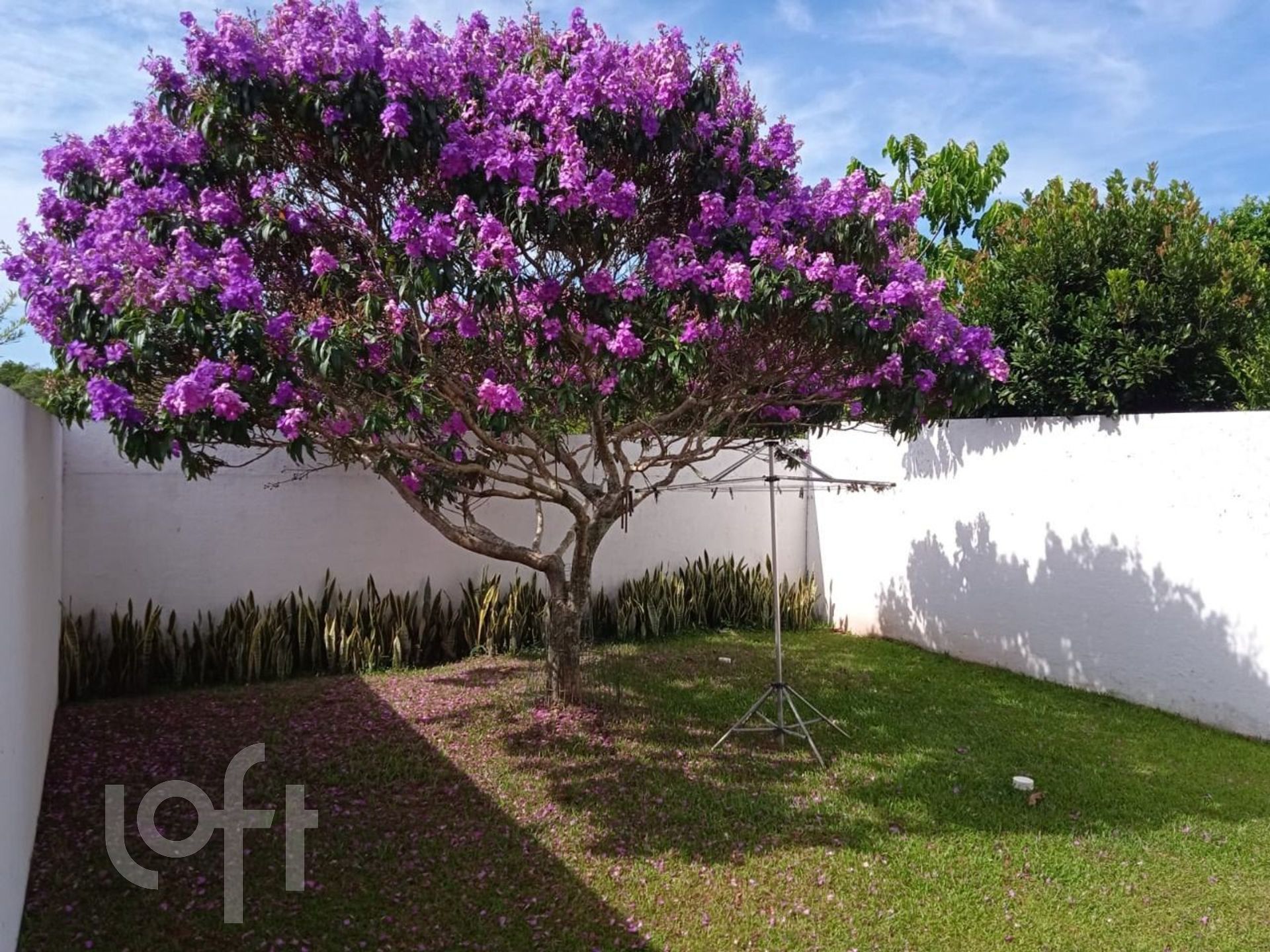 Imagem da propriedade 4