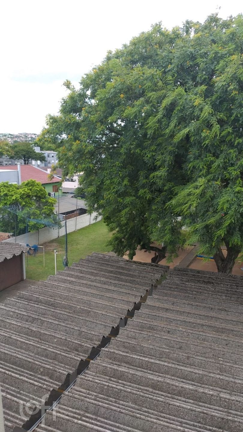 Imagem da propriedade 9
