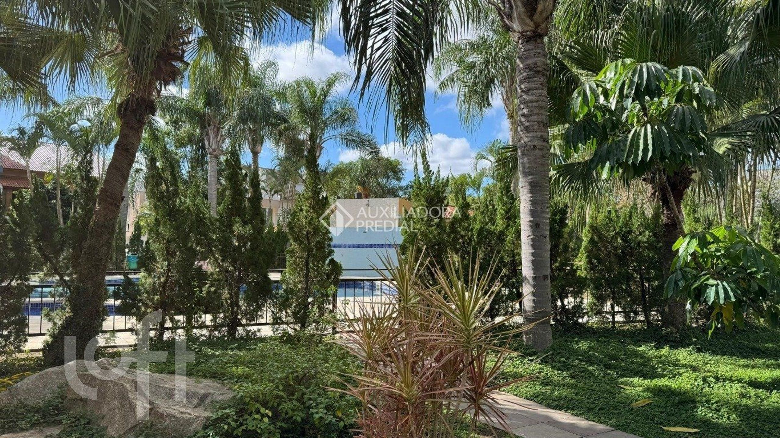 Imagem da propriedade 27