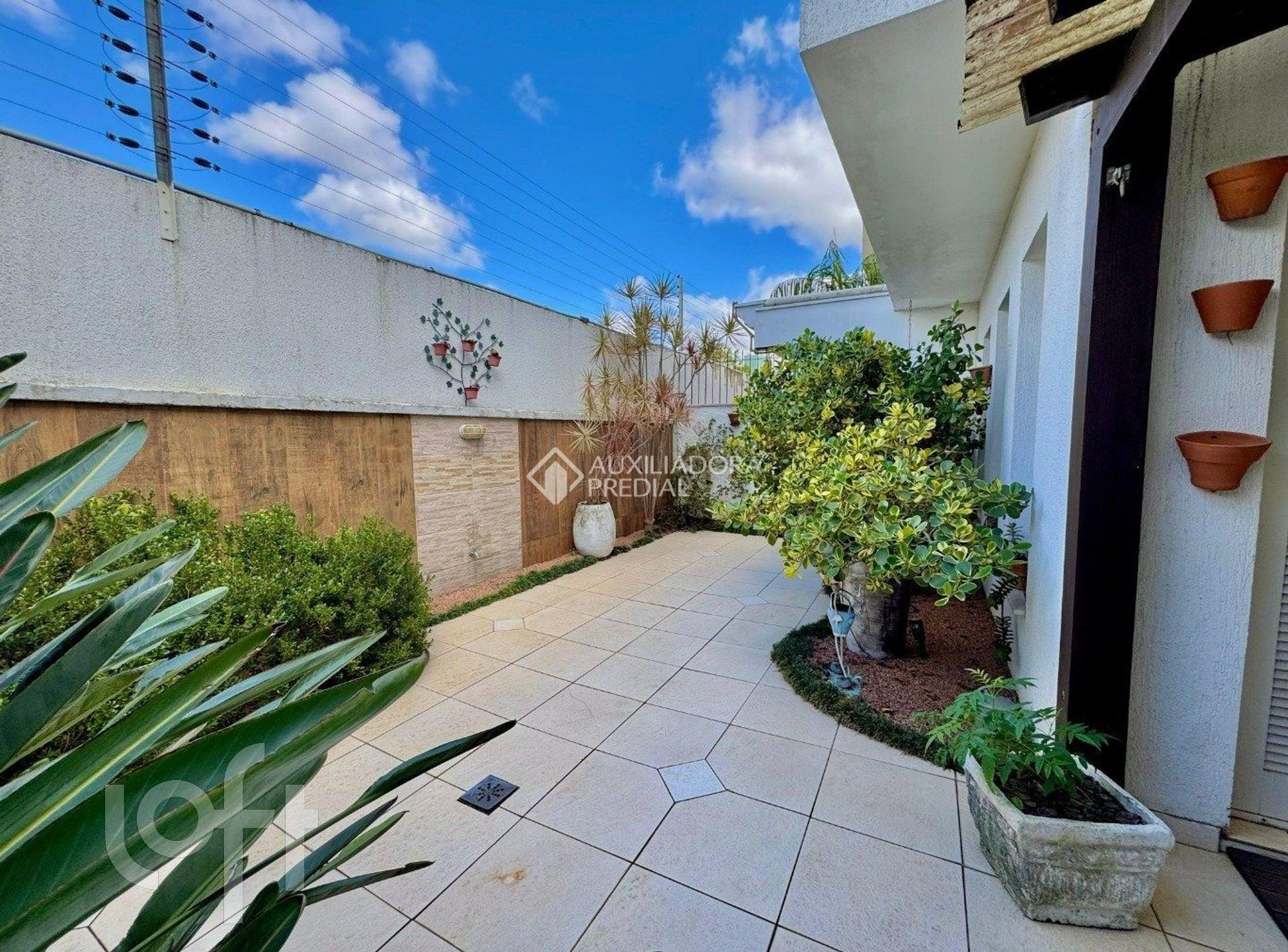 Imagem da propriedade 25