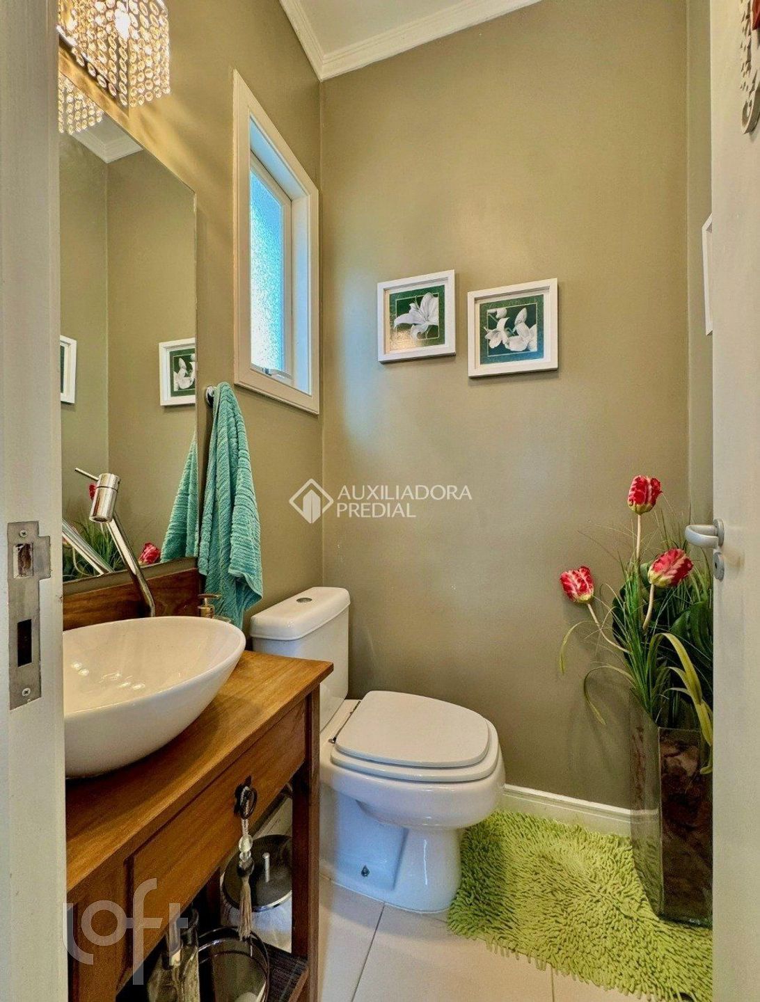 Imagem da propriedade 7