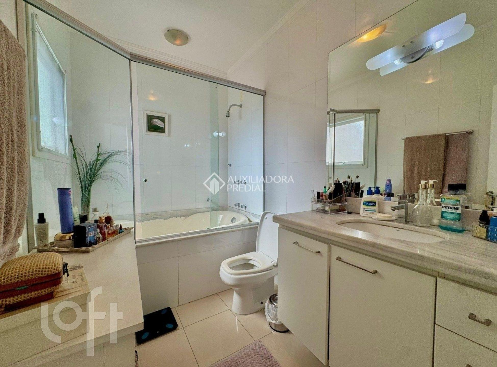 Imagem da propriedade 12