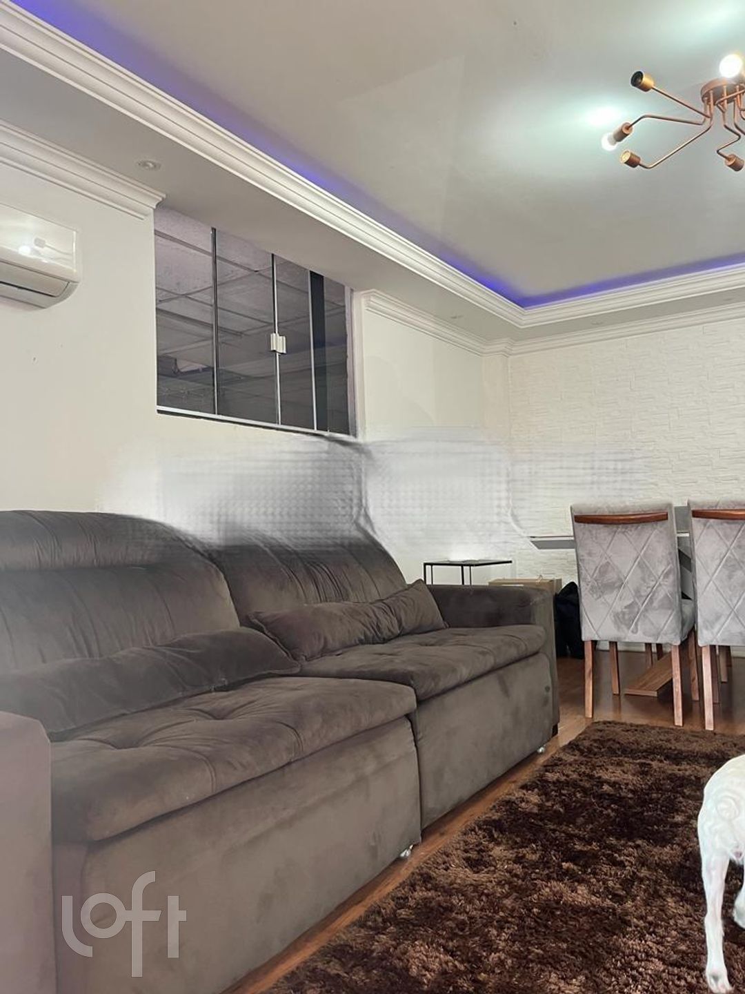 Imagem da propriedade 6