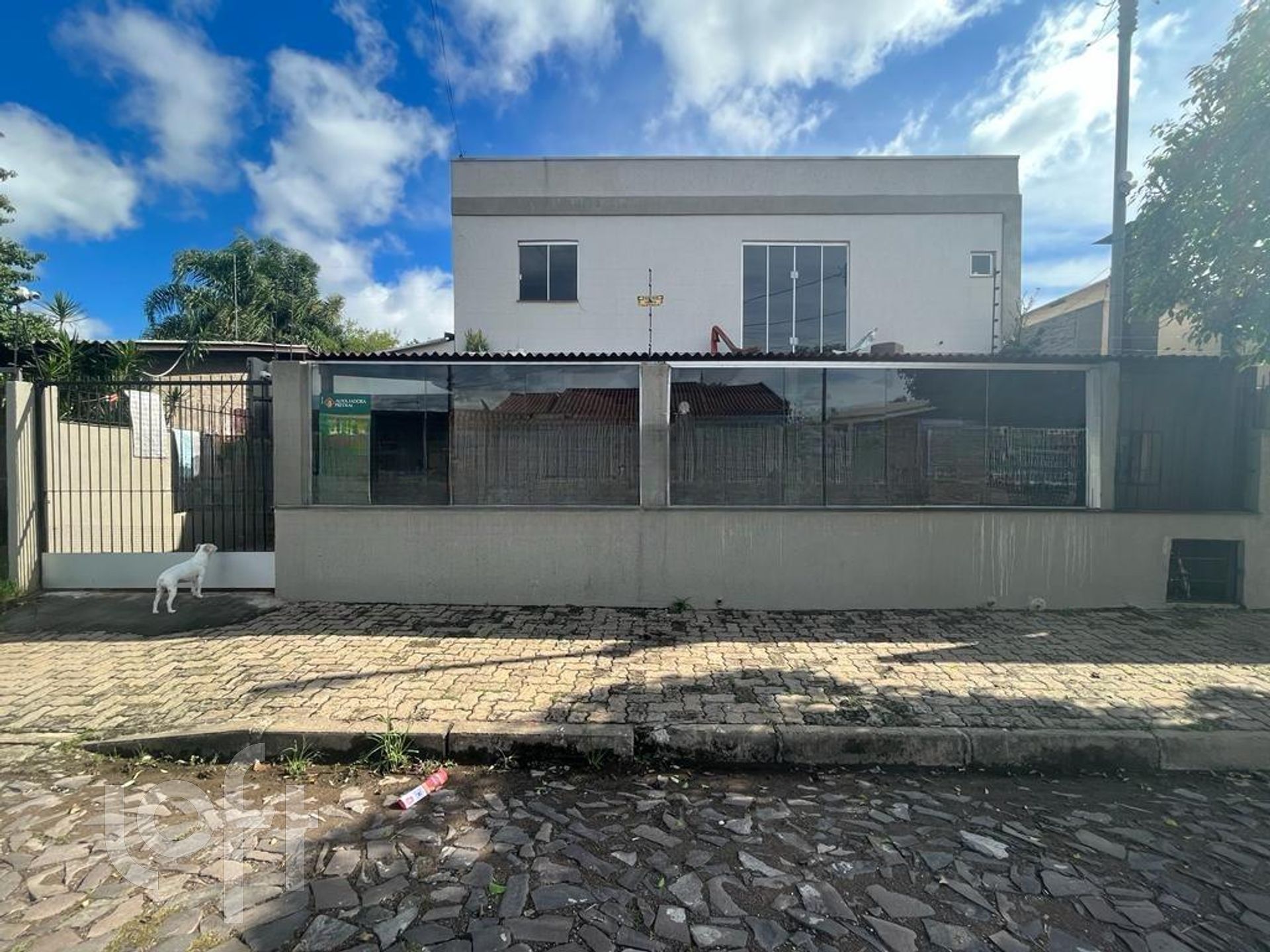 Imagem da propriedade 3