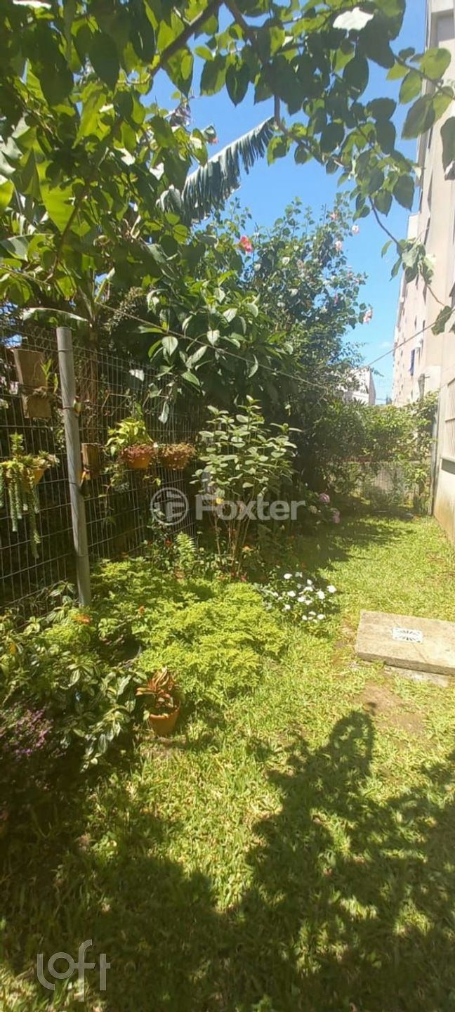 Imagem da propriedade 5