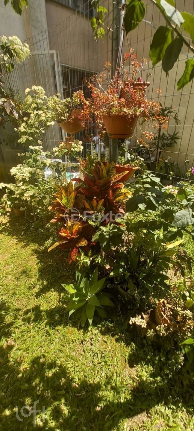 Imagem da propriedade 8