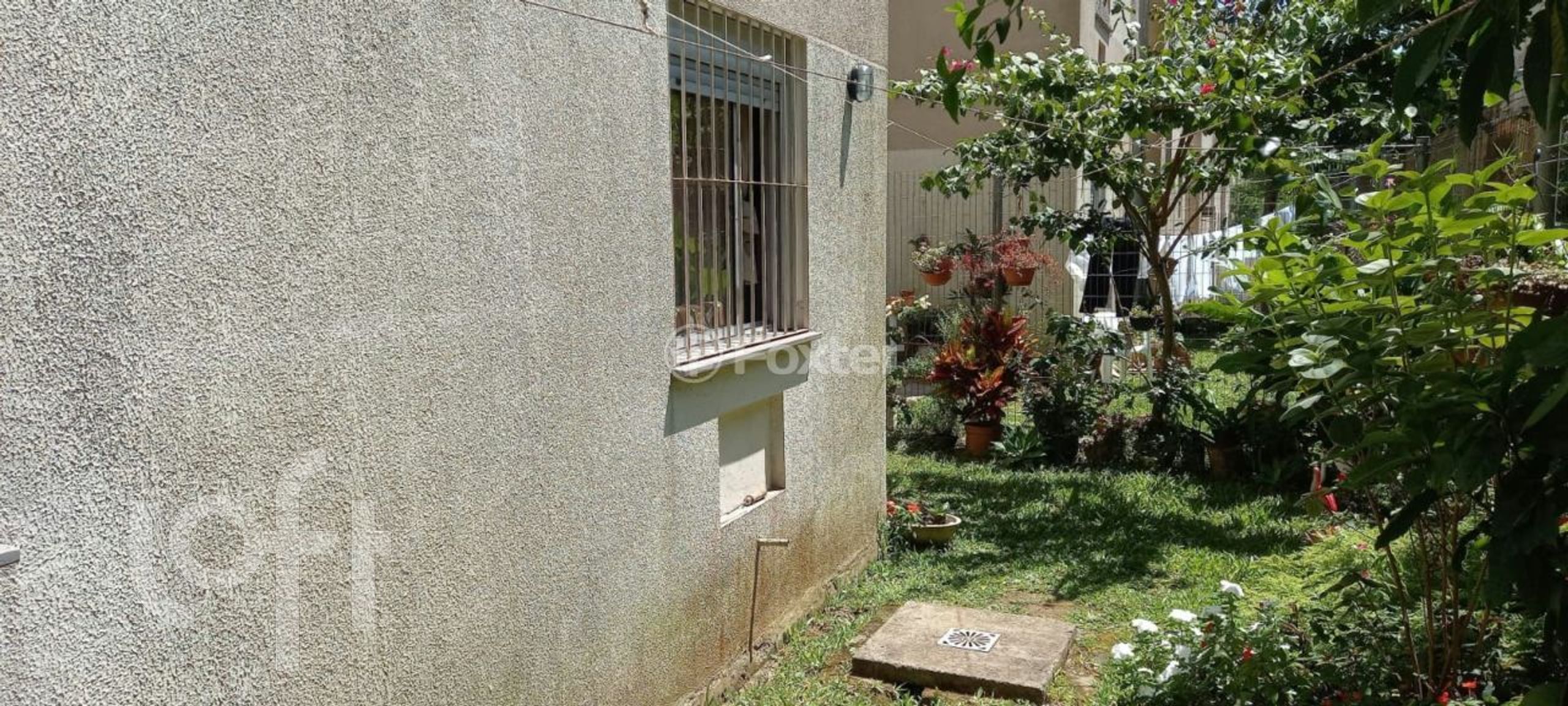 Imagem da propriedade 10