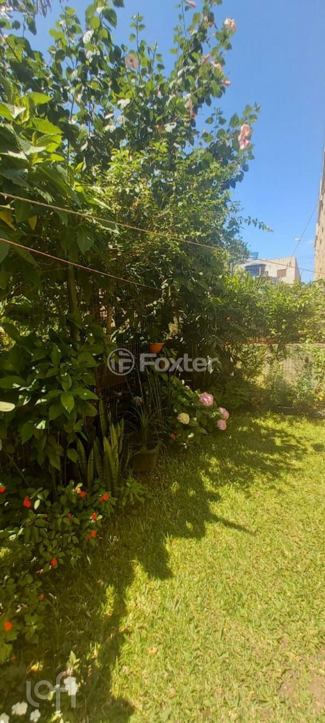 Imagem da propriedade 4