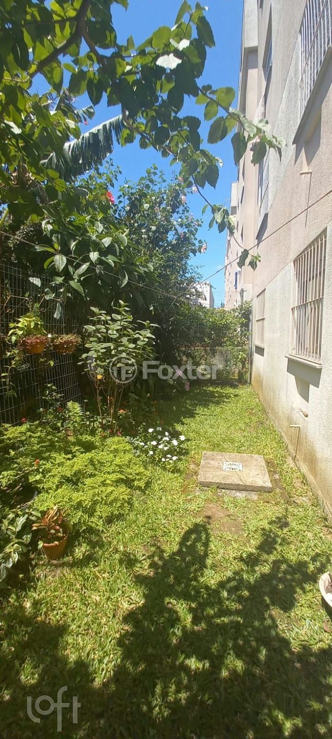 Imagem da propriedade 11