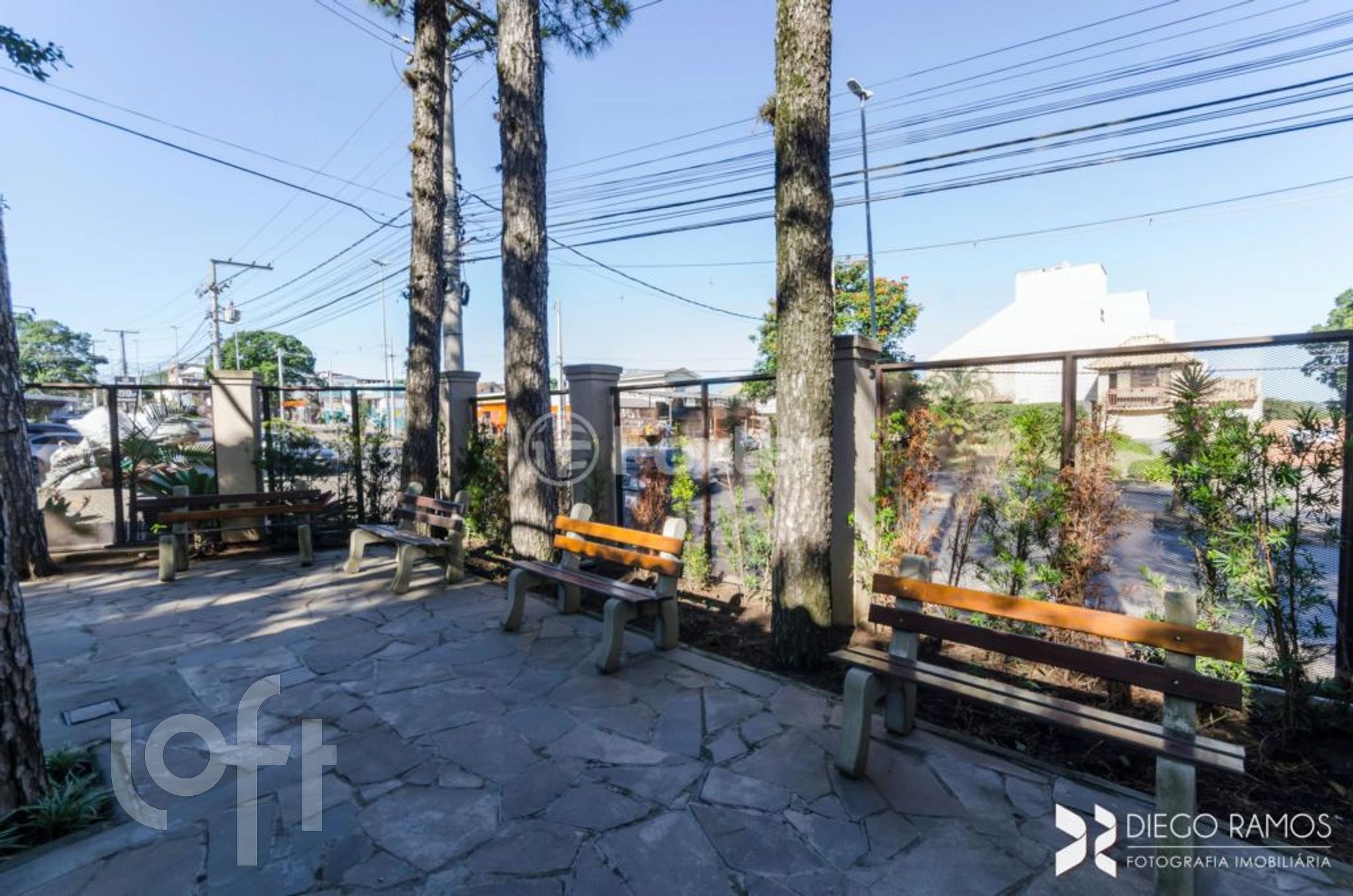 Imagem da propriedade 31