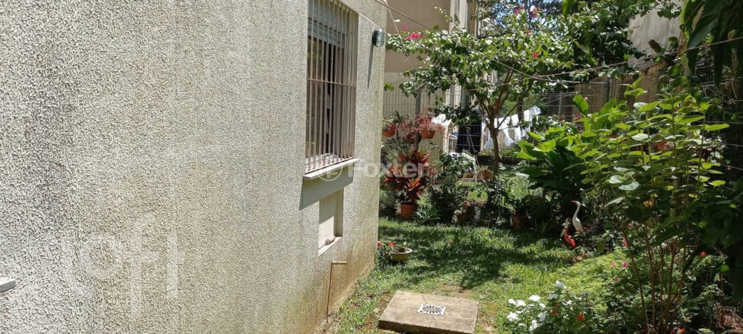 Imagem da propriedade 12