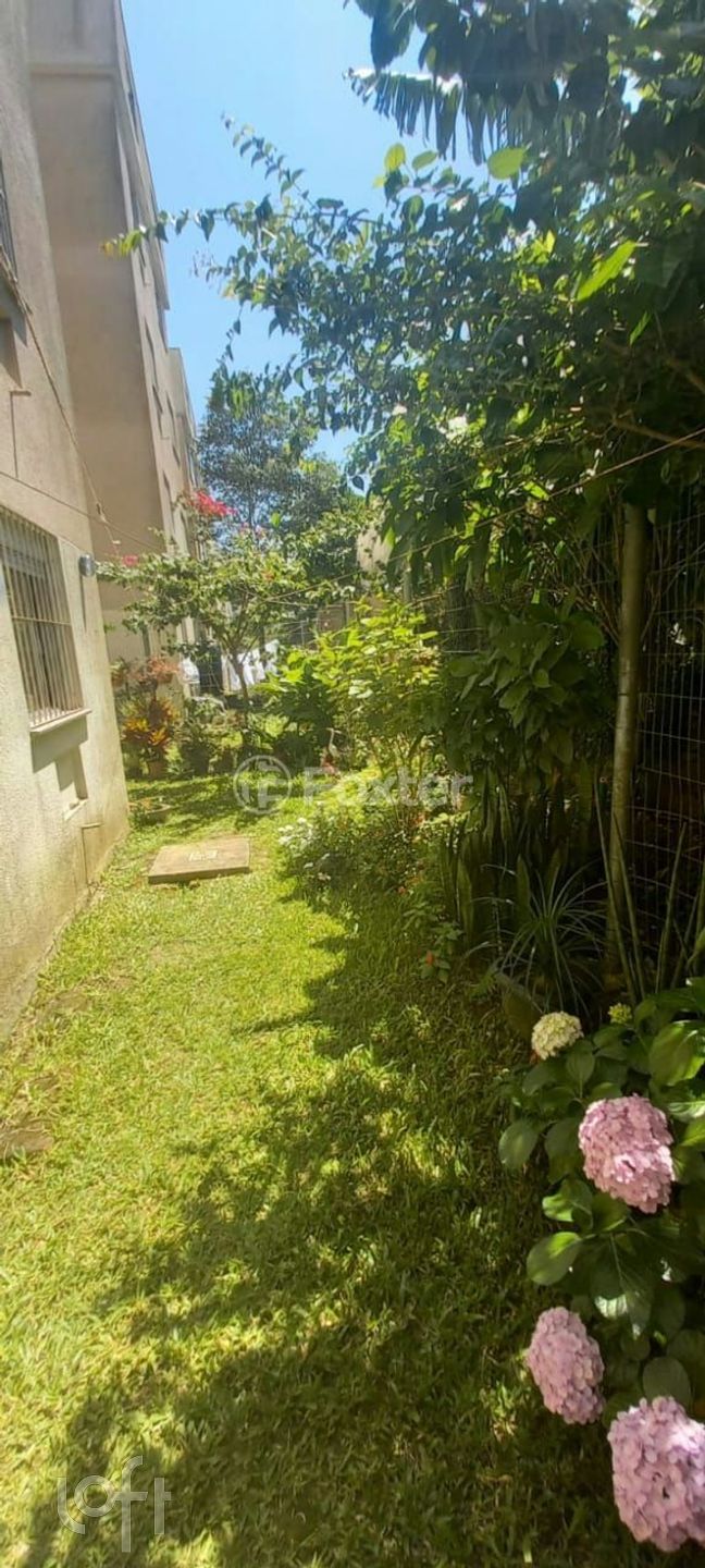 Imagem da propriedade 7