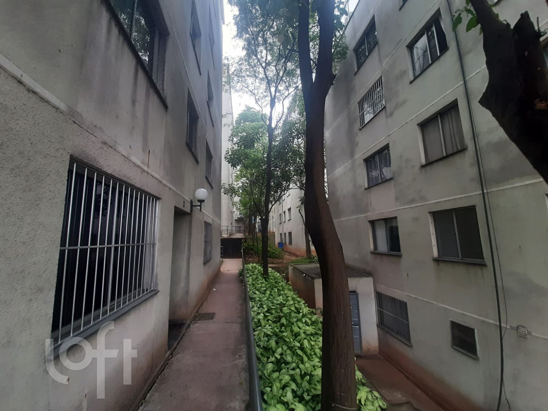 Apartamento à venda com 3 quartos, 47m² - Foto 2