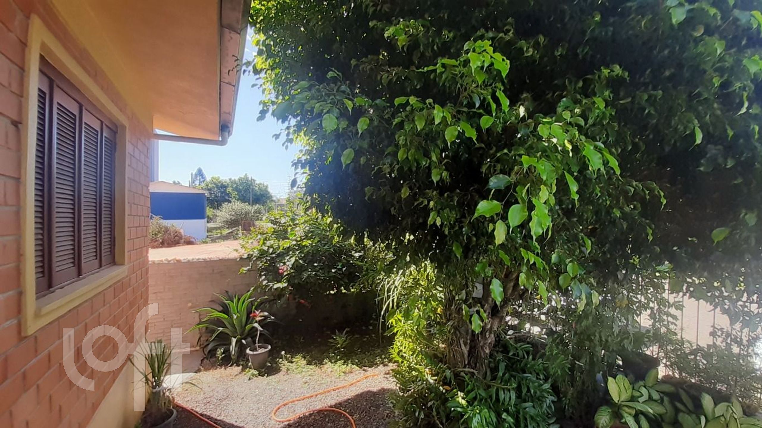 Imagem da propriedade 32